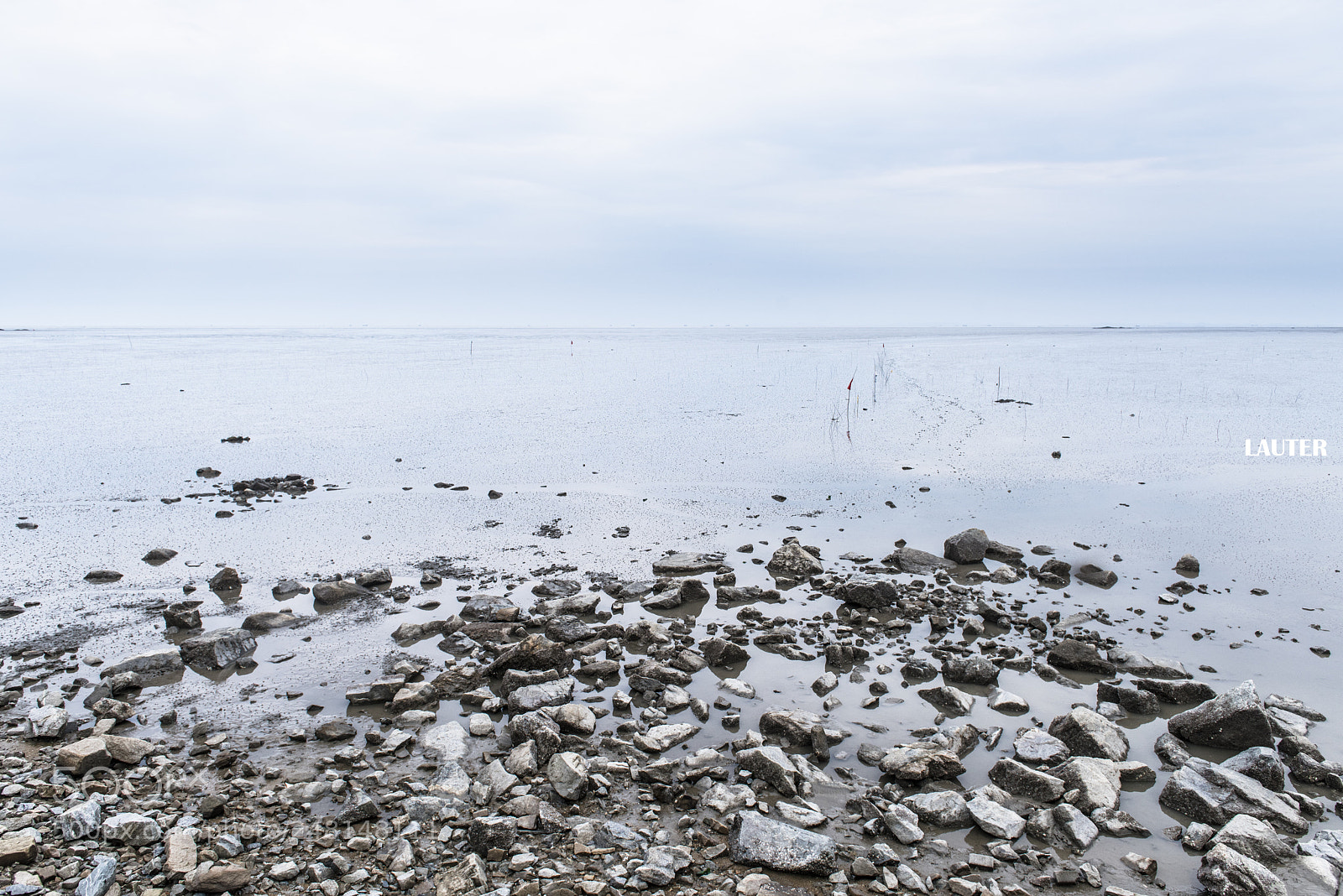 Nikon D810 sample photo. Dalian photography