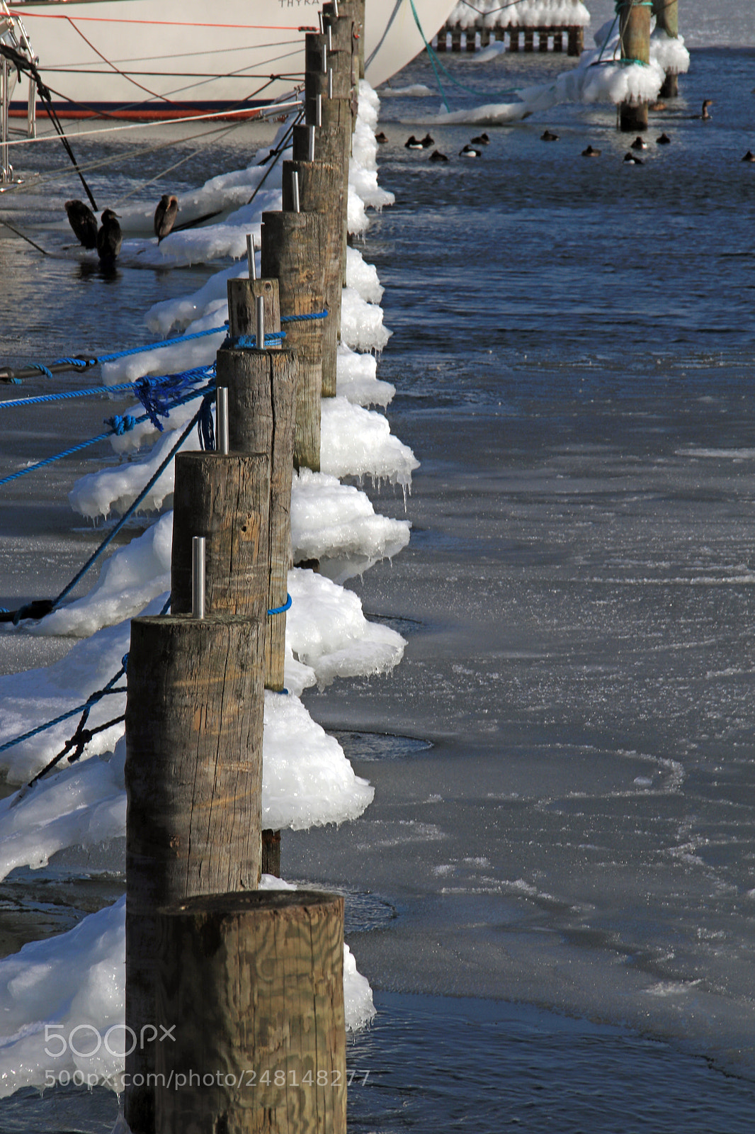 Canon EOS 77D (EOS 9000D / EOS 770D) sample photo. Img photography