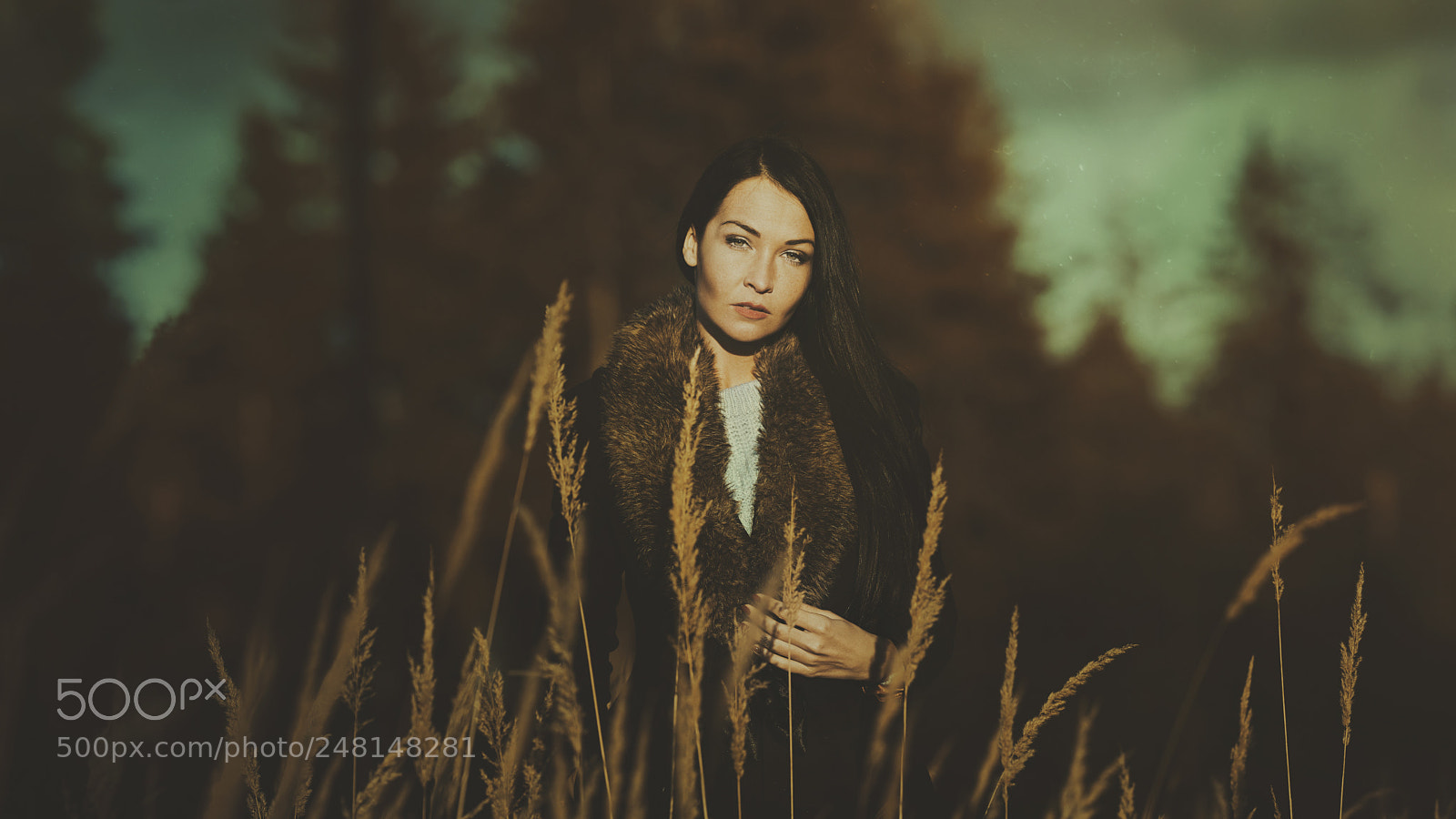 Nikon D810 sample photo. Michelle iv photography