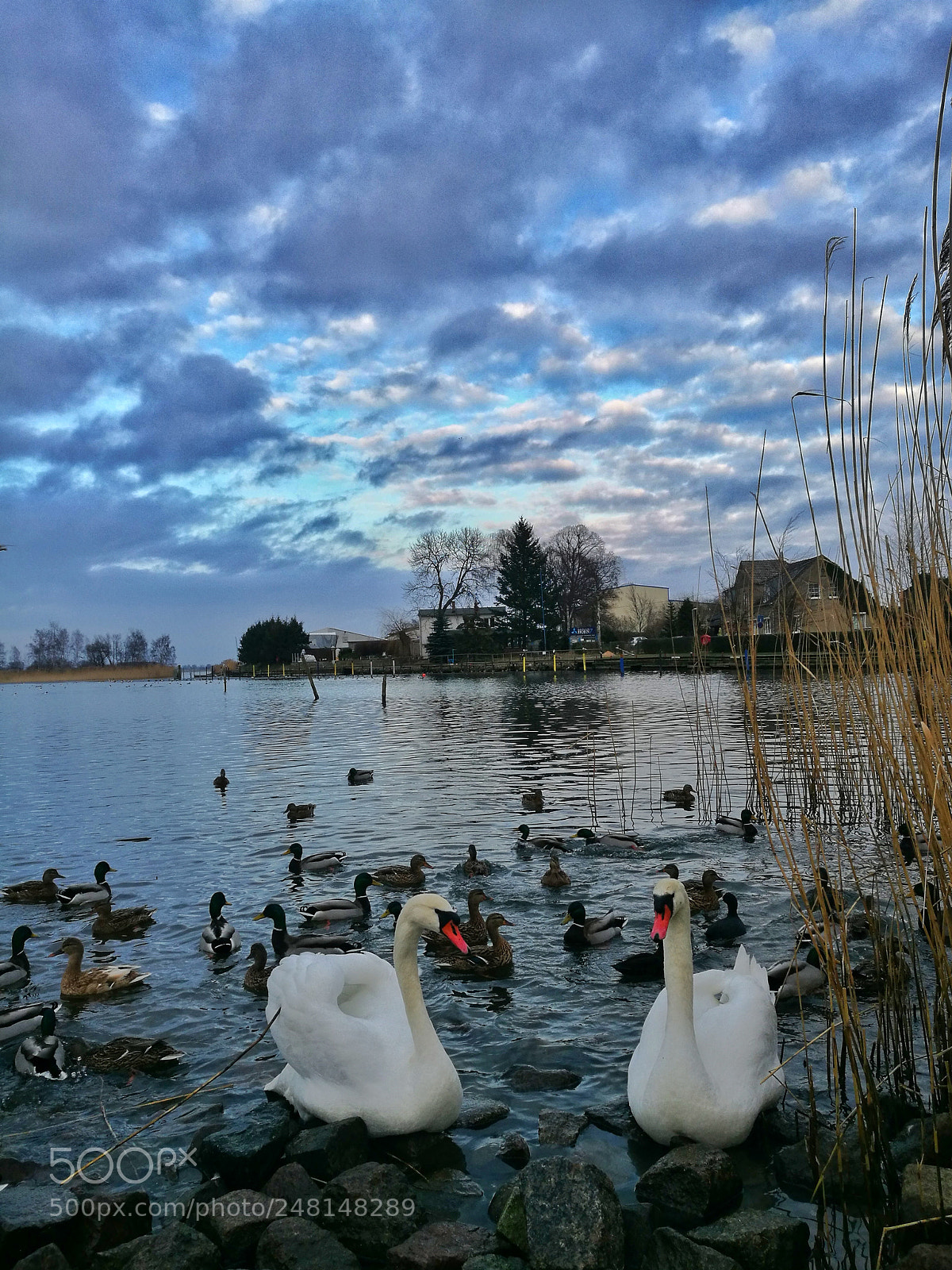HUAWEI P9 sample photo. Untitled photography