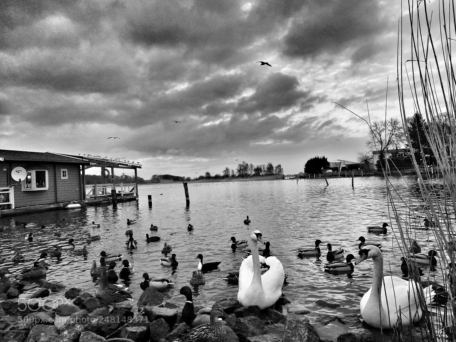 HUAWEI P9 sample photo. Untitled photography