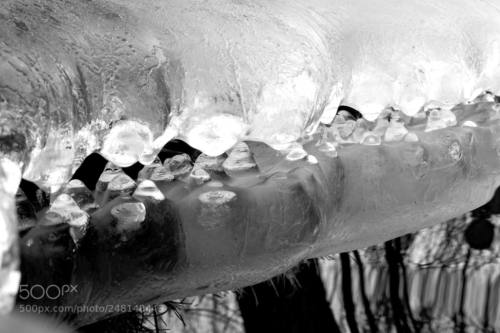 Olympus OM-D E-M10 II sample photo. Icy teeth photography