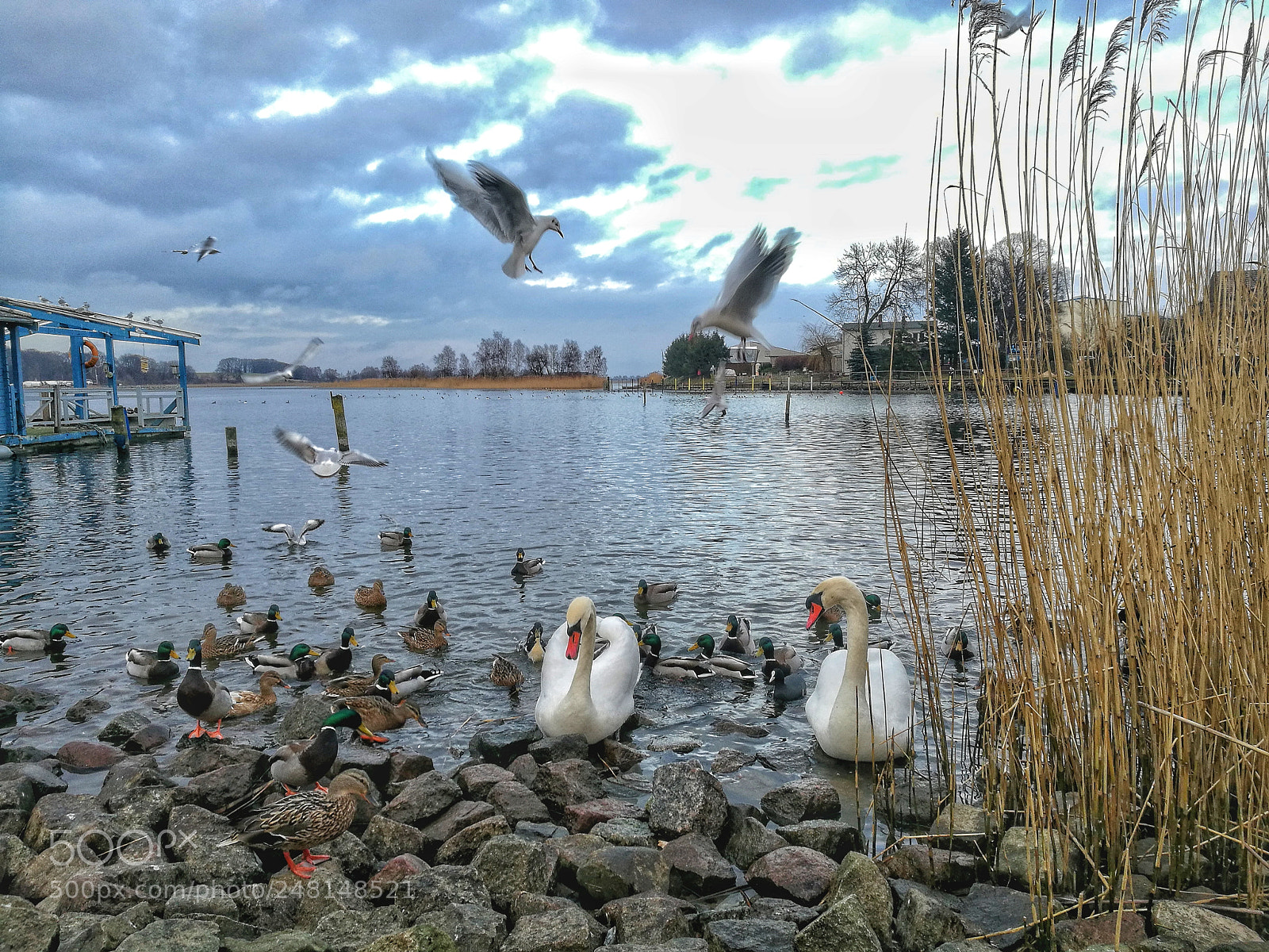 HUAWEI P9 sample photo. Untitled photography