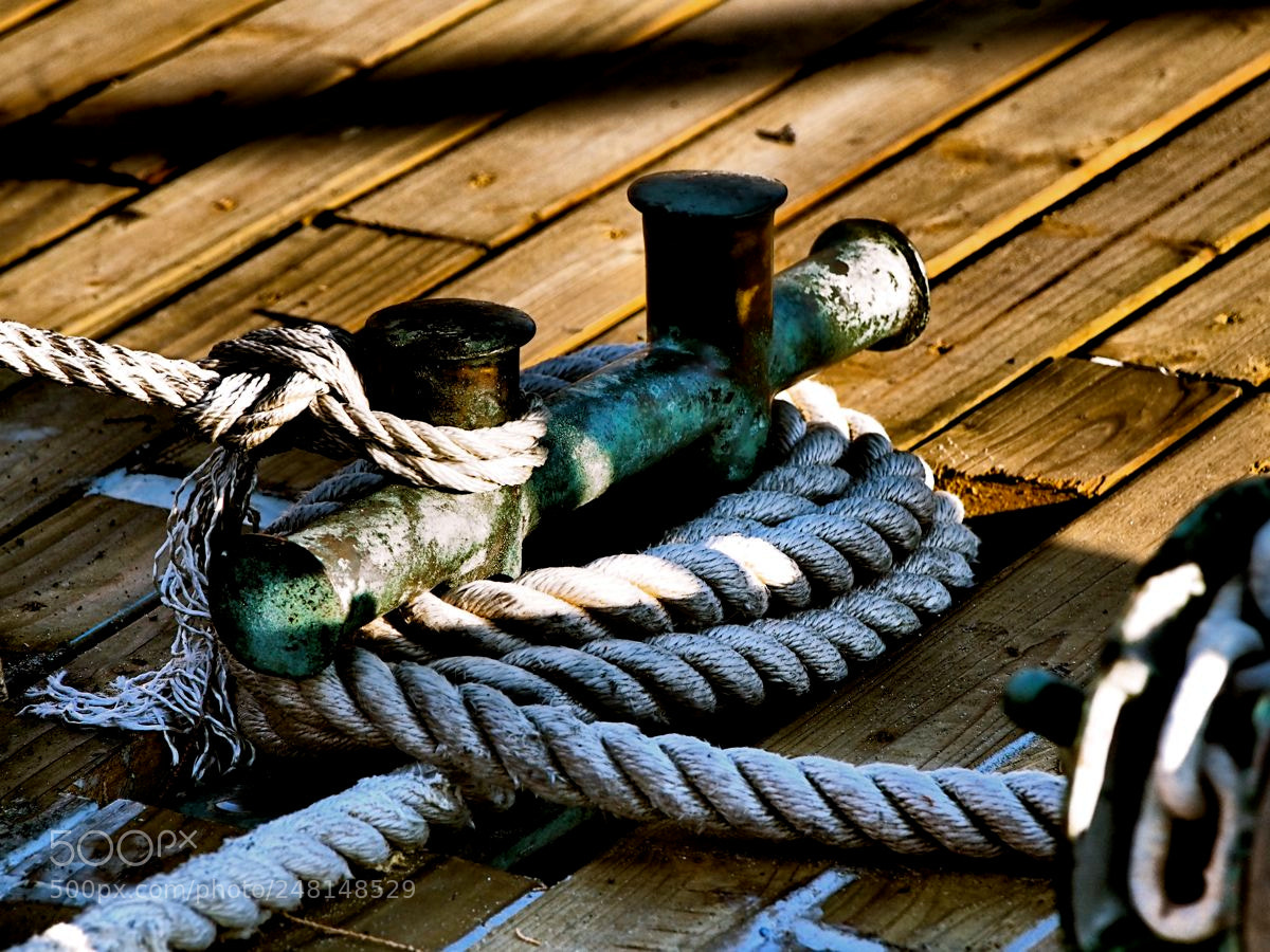 Olympus OM-D E-M5 sample photo. Amarres photography