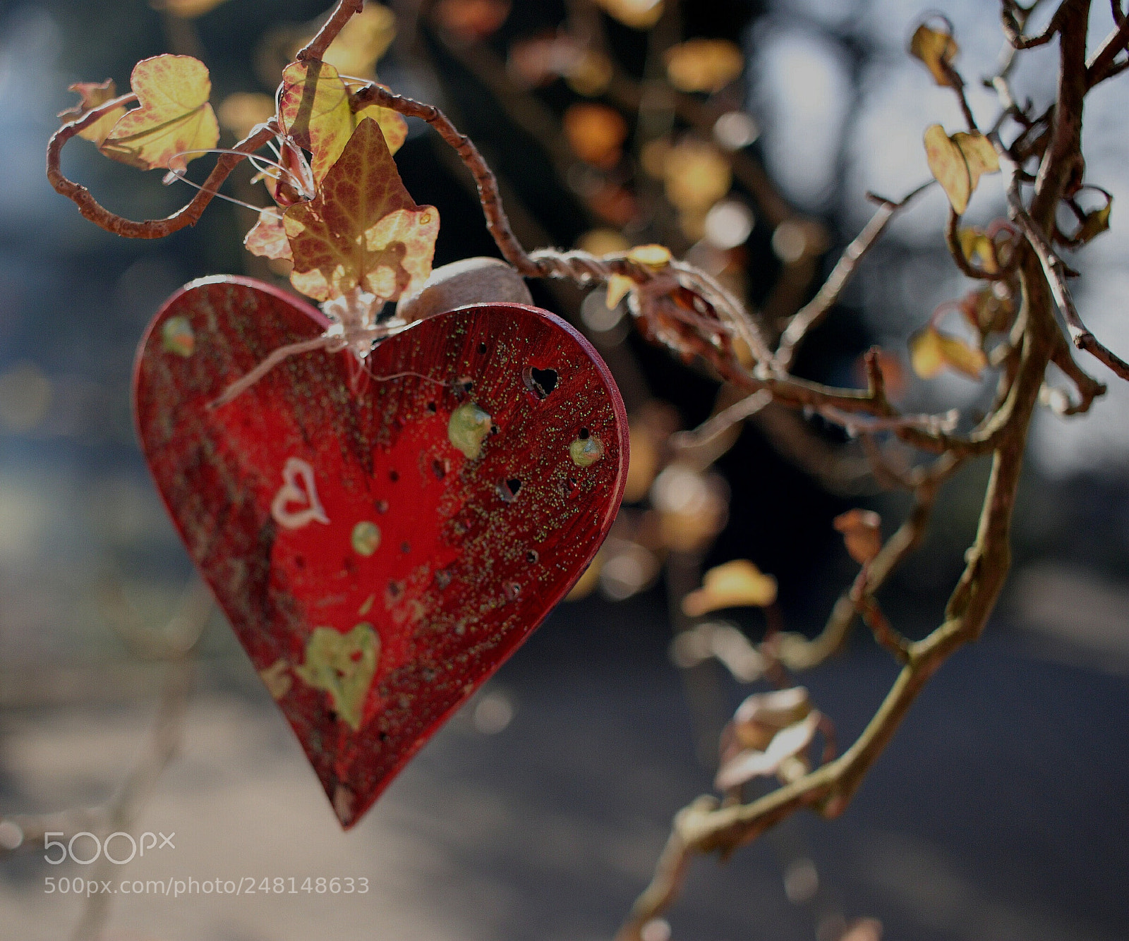 Canon EOS 77D (EOS 9000D / EOS 770D) sample photo. Untitled photography