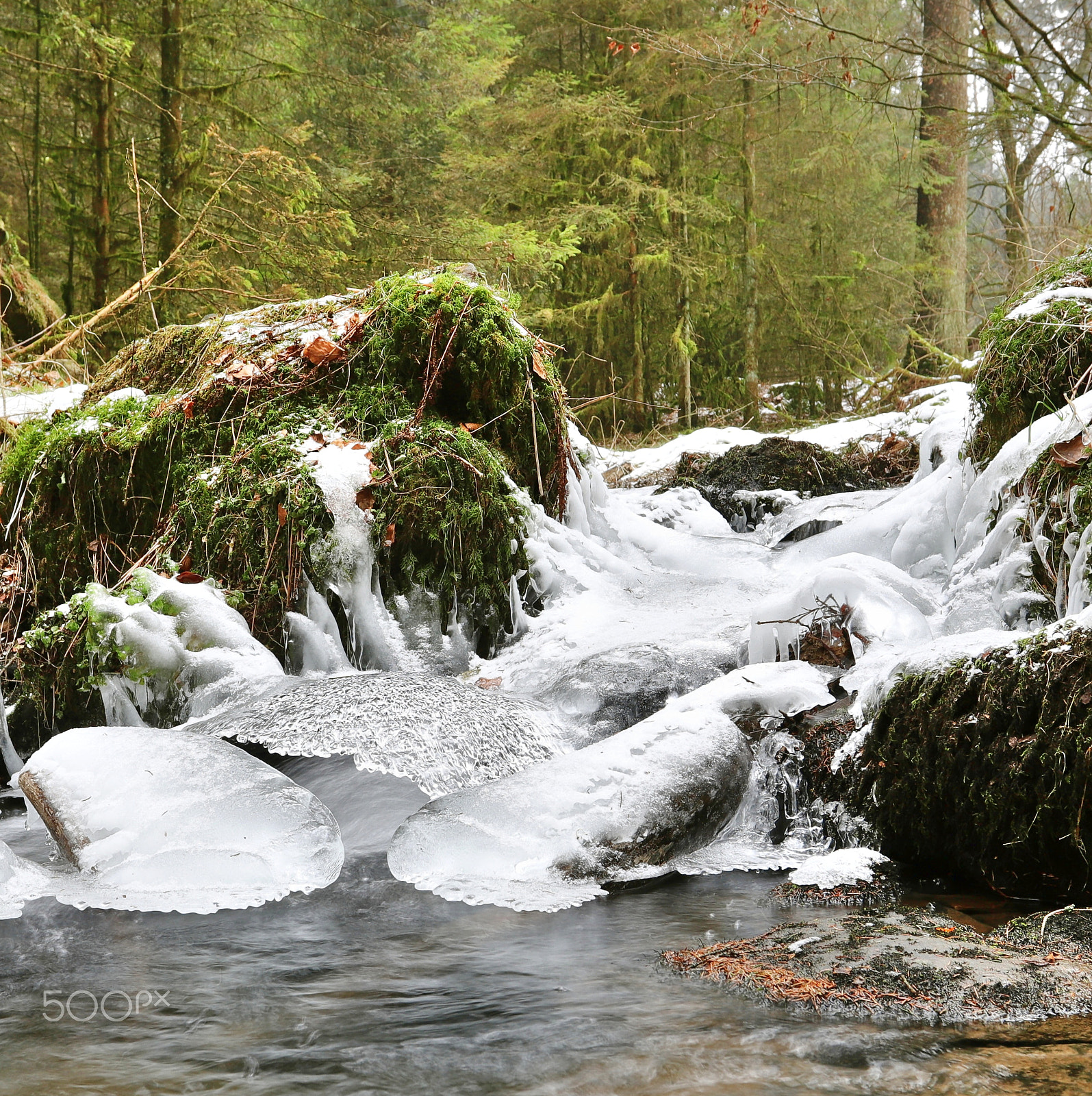 Canon EF 17-40mm F4L USM sample photo. Freeze photography