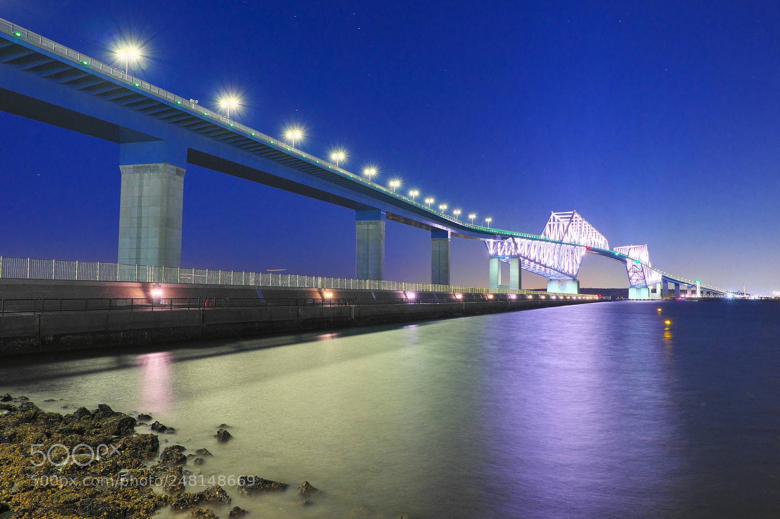Fujifilm X-T1 sample photo. The tokyo gate bridge photography