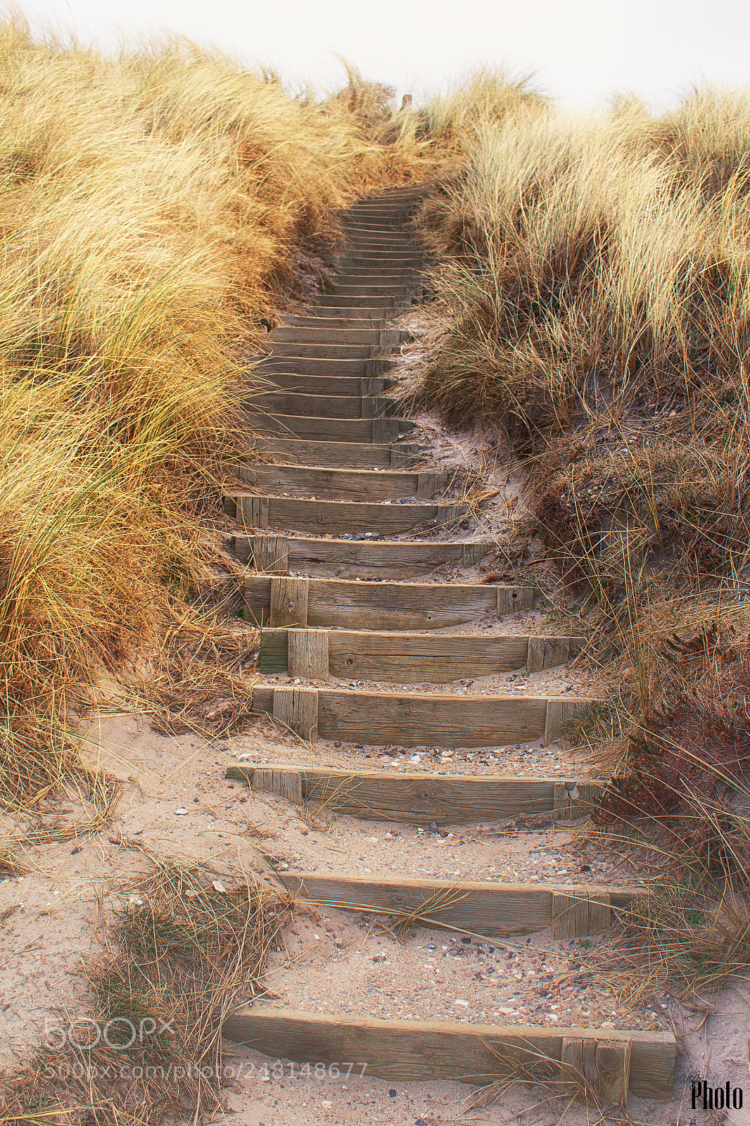 Canon EOS 100D (EOS Rebel SL1 / EOS Kiss X7) sample photo. The stairs to nature photography