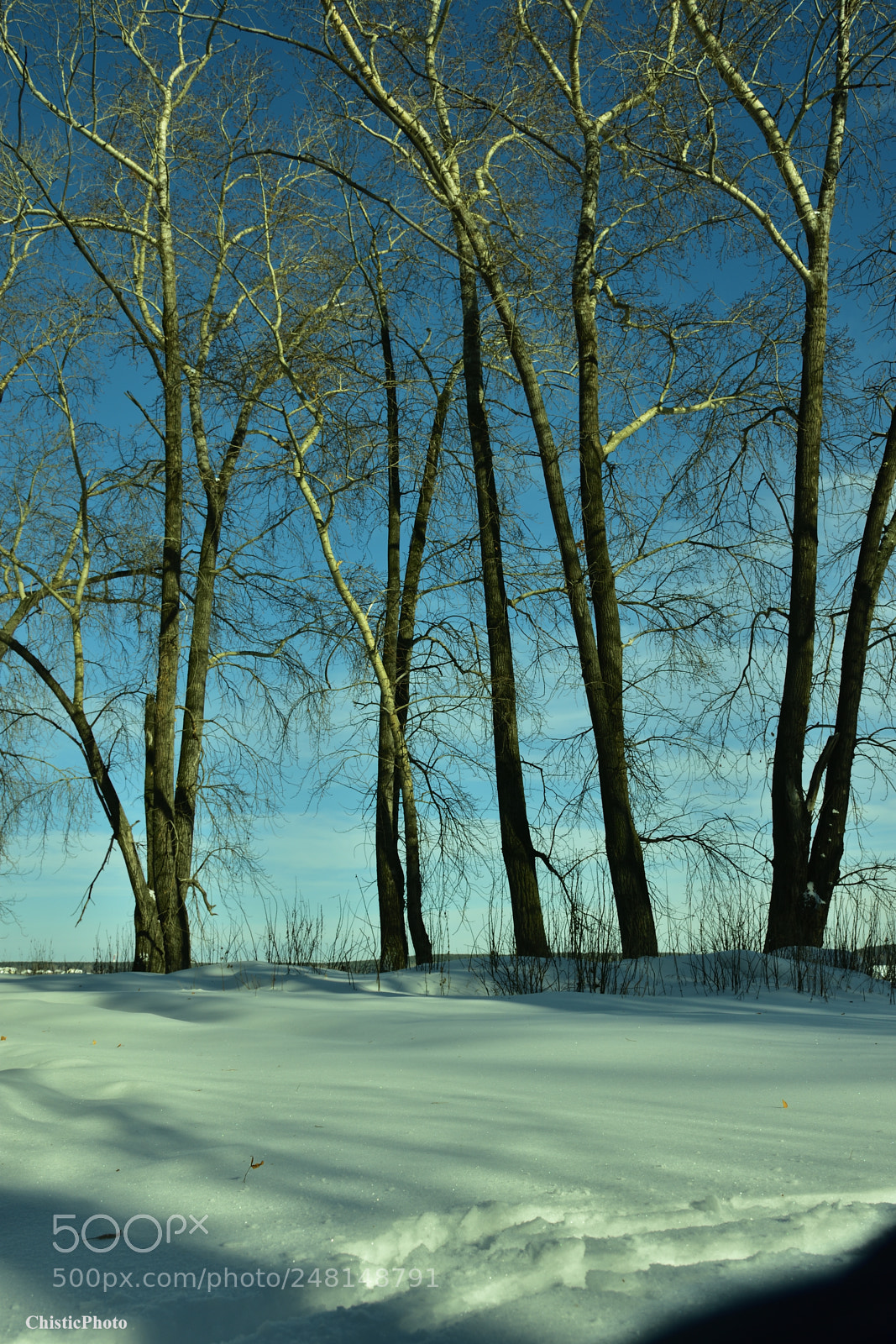 Nikon D7200 sample photo. Dr. watson photography