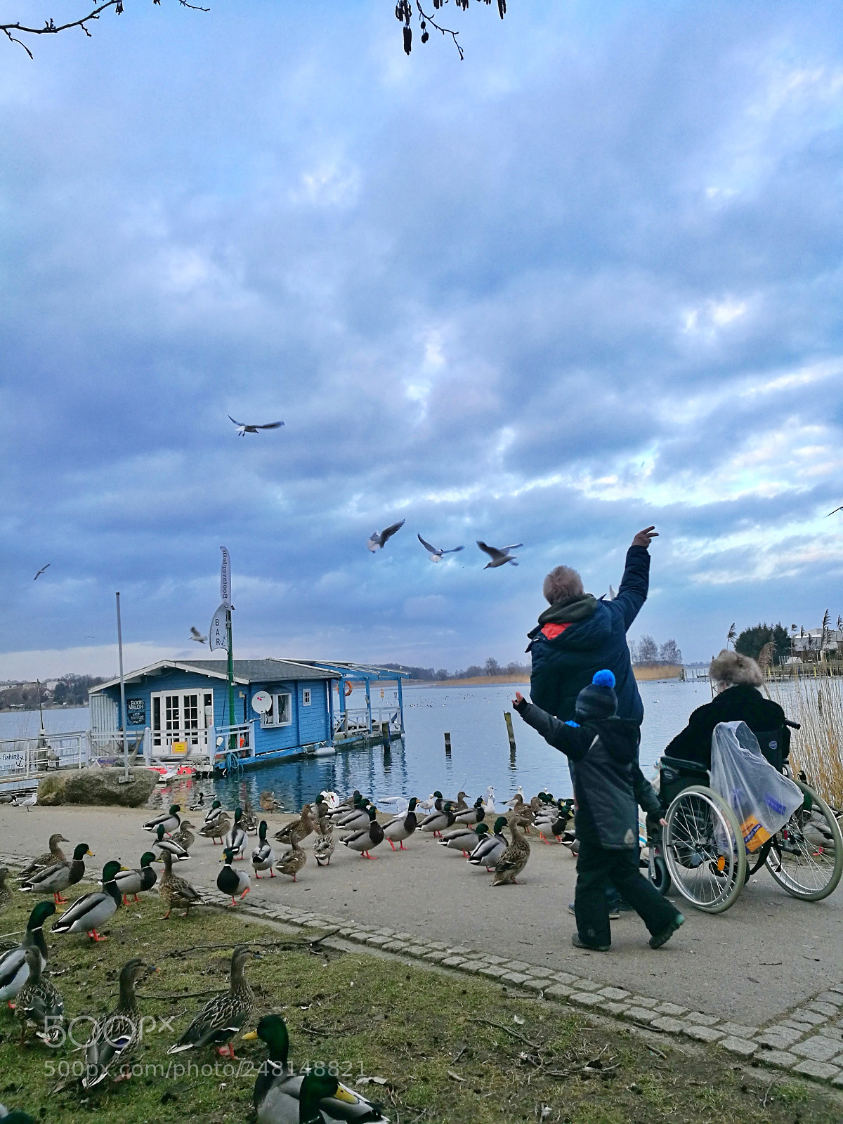HUAWEI P9 sample photo. Untitled photography
