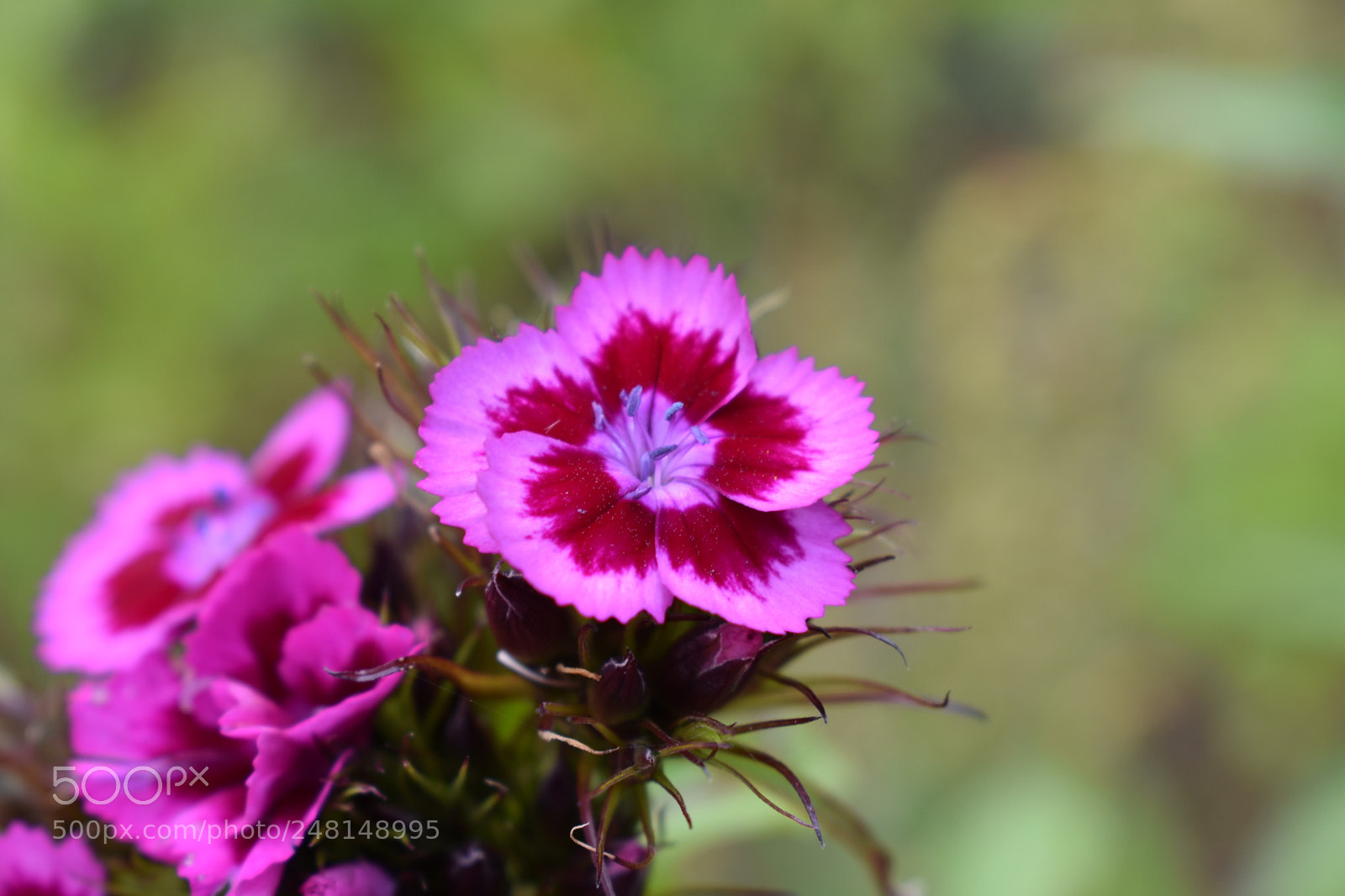Nikon D3400 sample photo. Untitled photography
