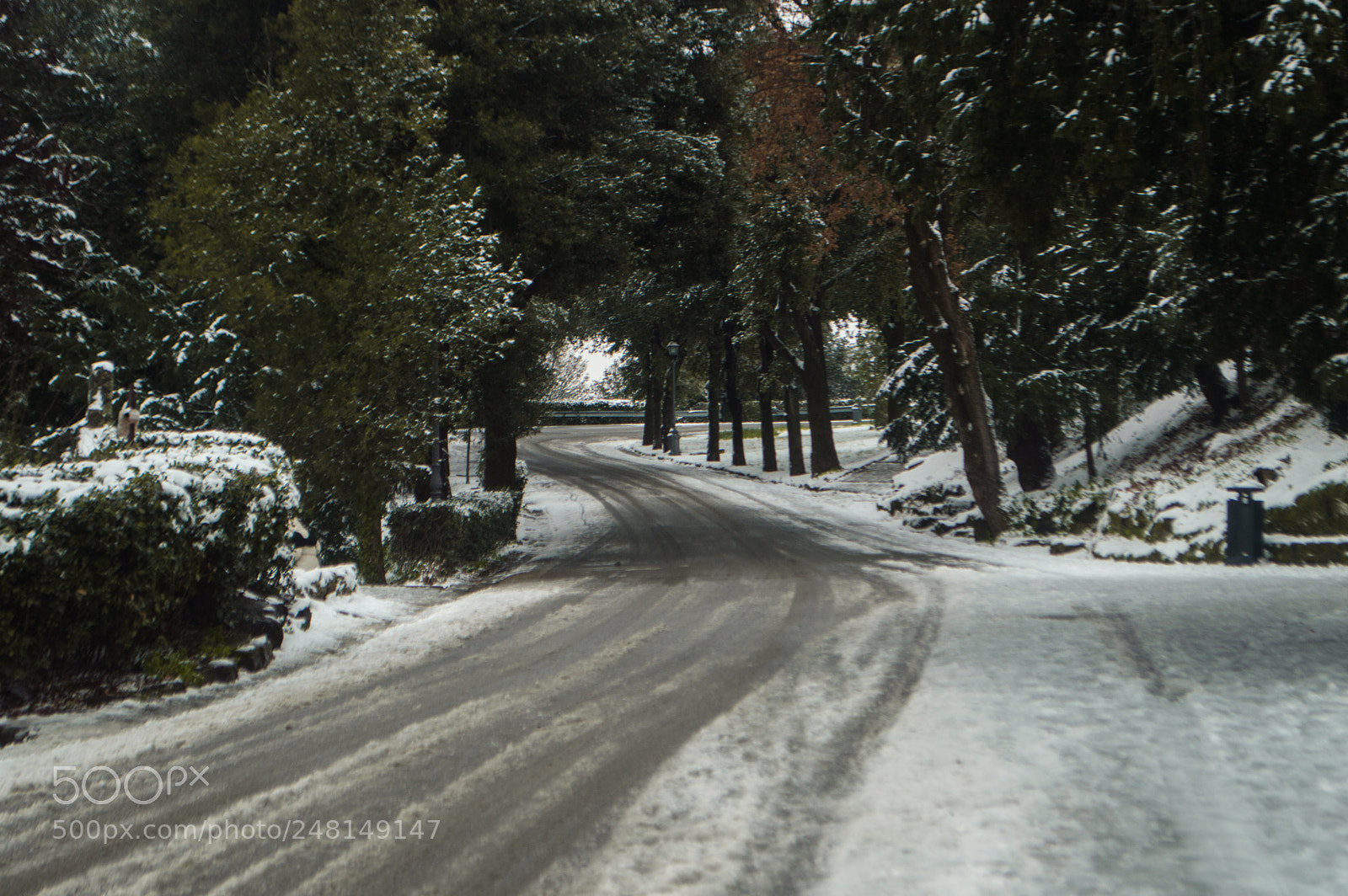 Nikon D3200 sample photo. Florence under the snow 4 photography