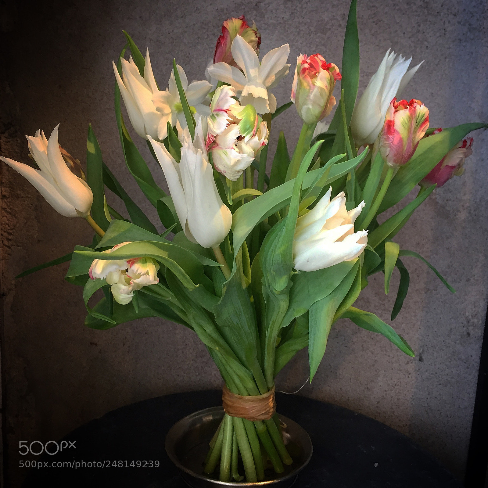 Apple iPhone 6 sample photo. Tulips photography