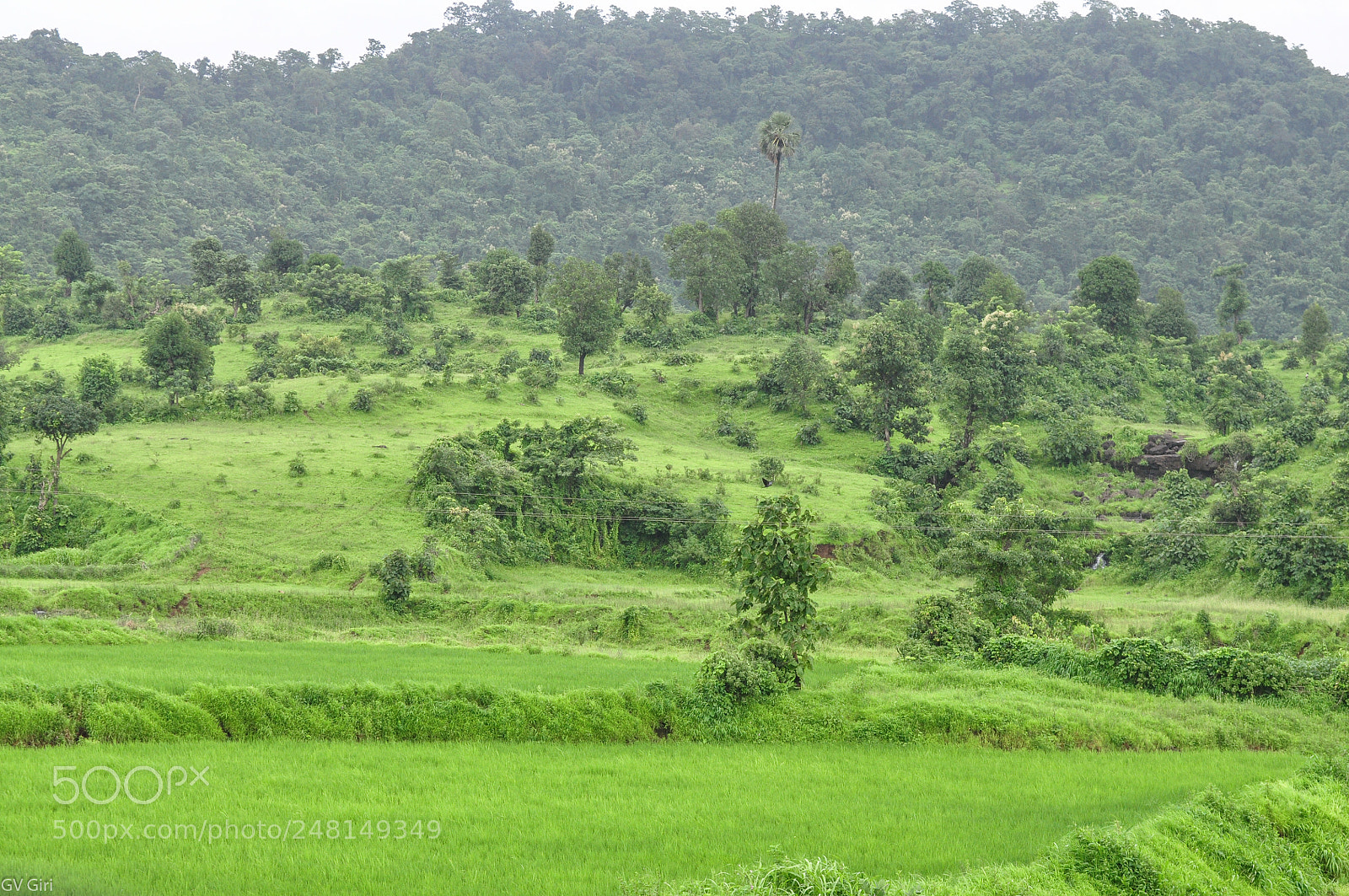 Nikon D90 sample photo. Khopoli in august photography
