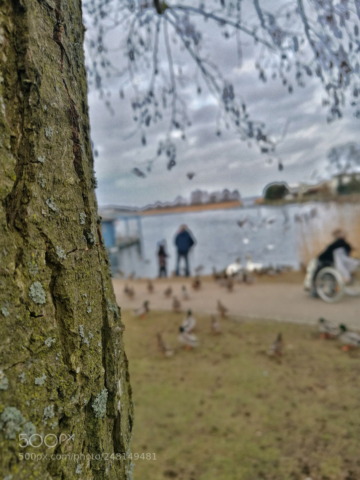 HUAWEI P9 sample photo. Untitled photography