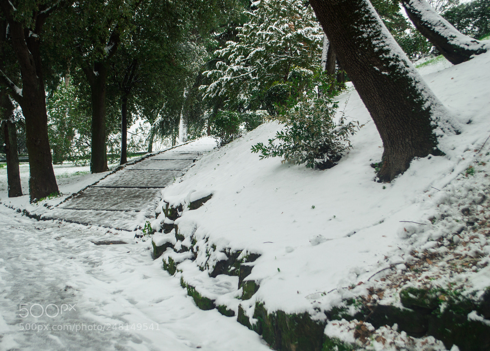 Nikon D3200 sample photo. Florence under the snow 5 photography