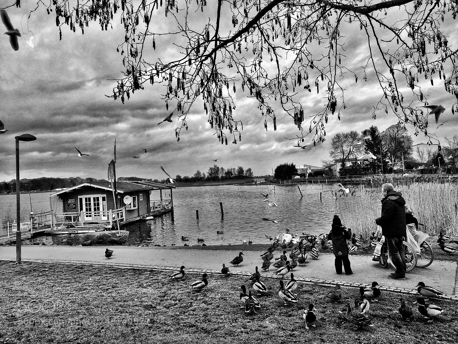 HUAWEI P9 sample photo. Untitled photography