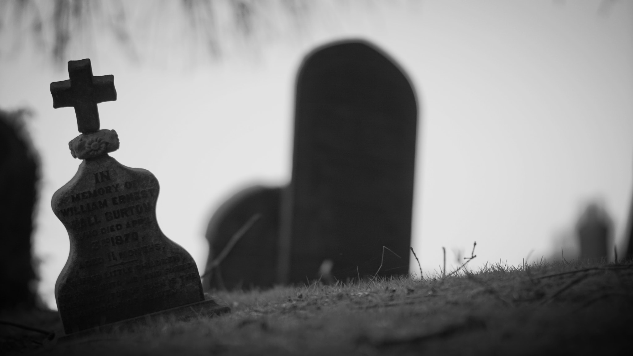 Sony Sonnar T* 135mm F1.8 ZA sample photo. Grave yard photography