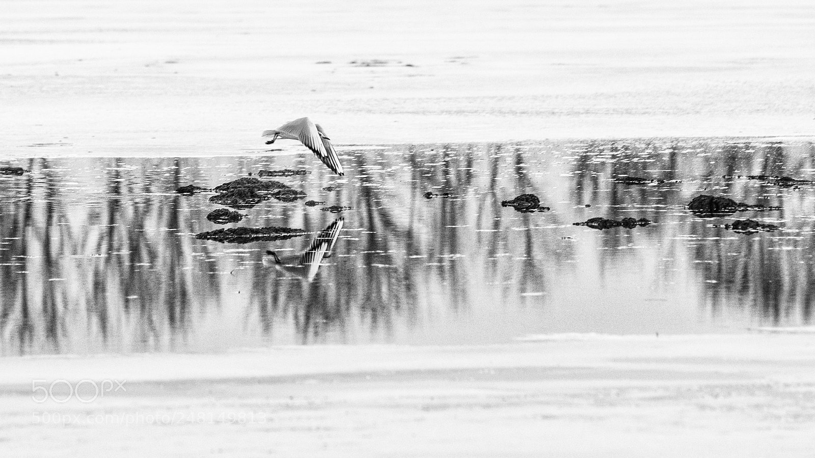 Pentax K-1 sample photo. Reflections... photography