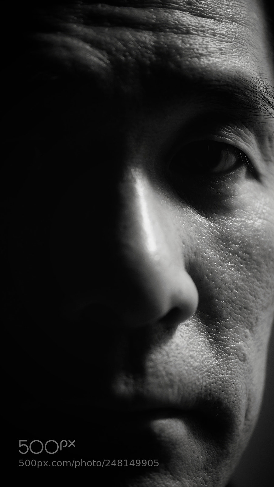 Fujifilm X-T1 sample photo. Eye on you... photography