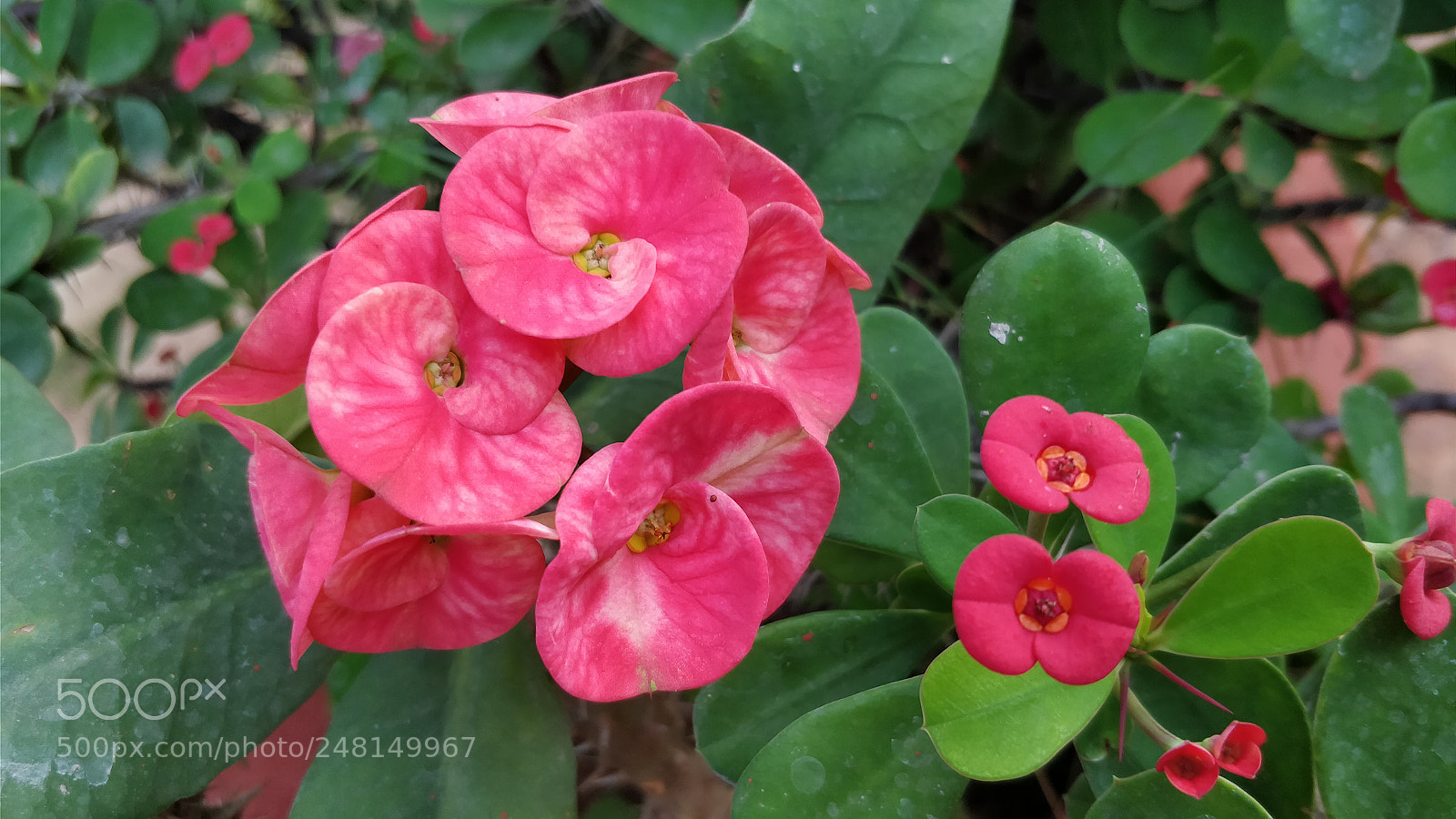 OnePlus 5 sample photo. Untitled photography