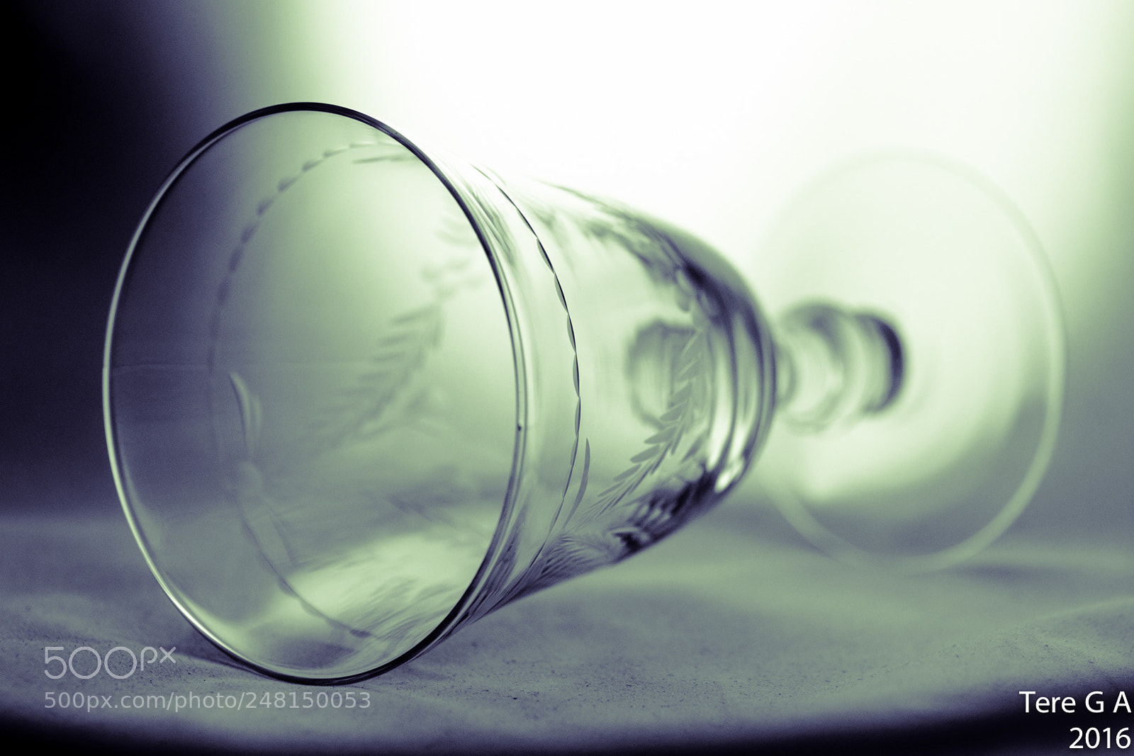 Nikon D3100 sample photo. 27320177350.jpg photography