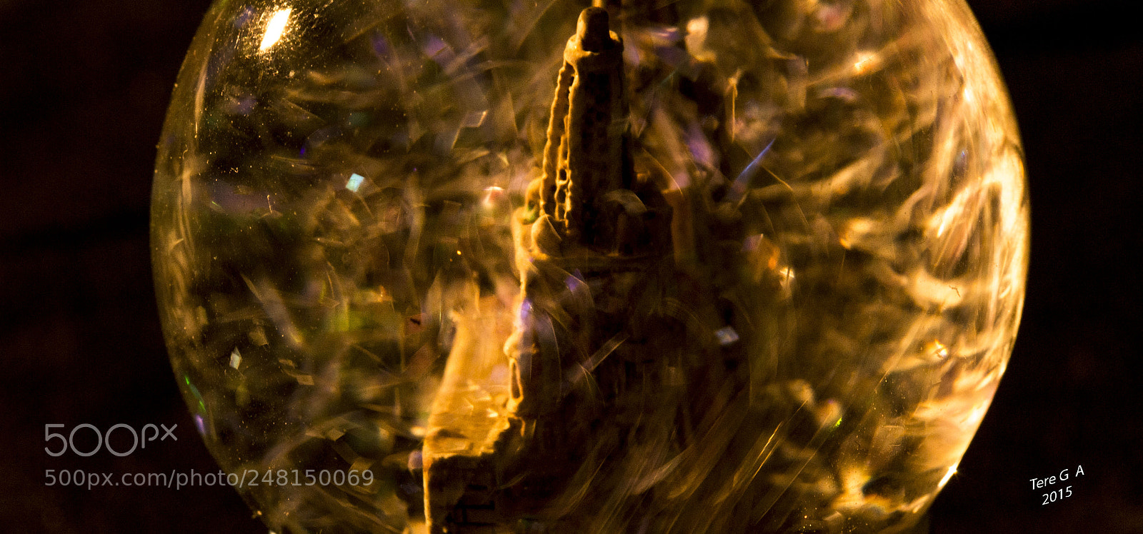Nikon D3100 sample photo. 20552563653.jpg photography