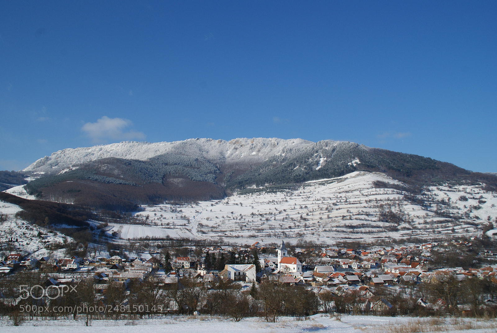 Sony Alpha DSLR-A200 sample photo. White on blue photography