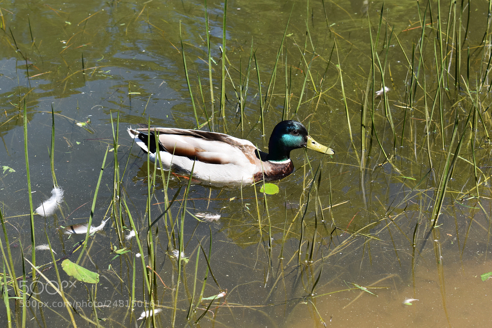 Nikon D3400 sample photo. Untitled photography