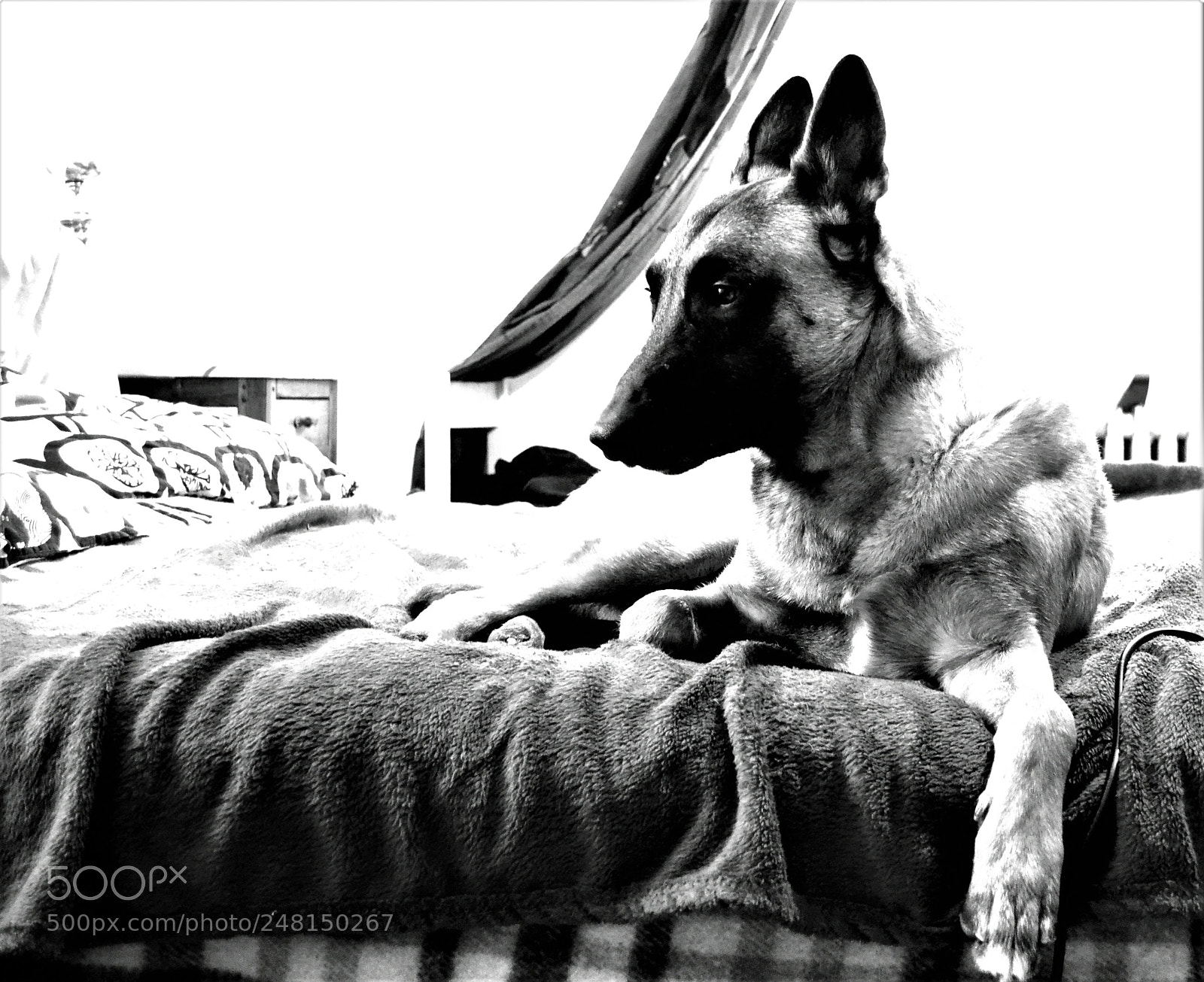 Nikon D3100 sample photo. Mylove photography