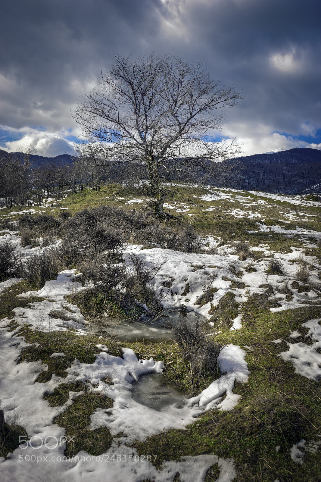 Sony a7 II sample photo. Goodbay winter photography