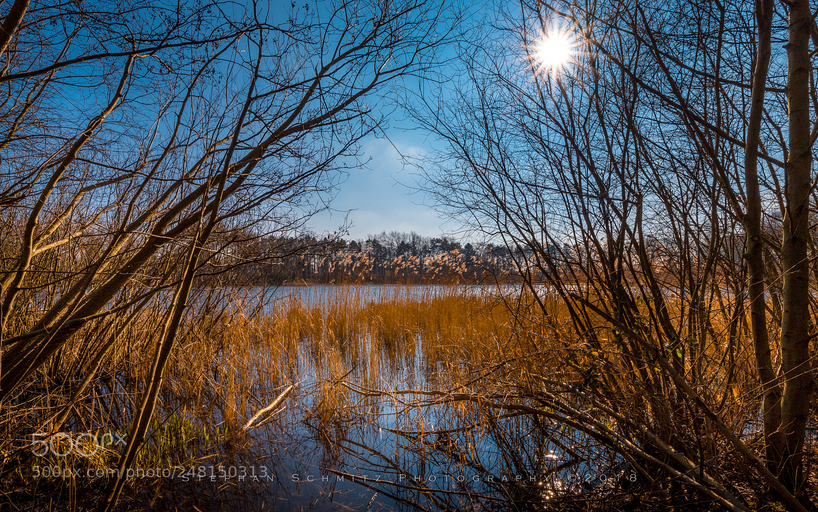 Canon EOS 6D Mark II sample photo. Sunny winter day photography