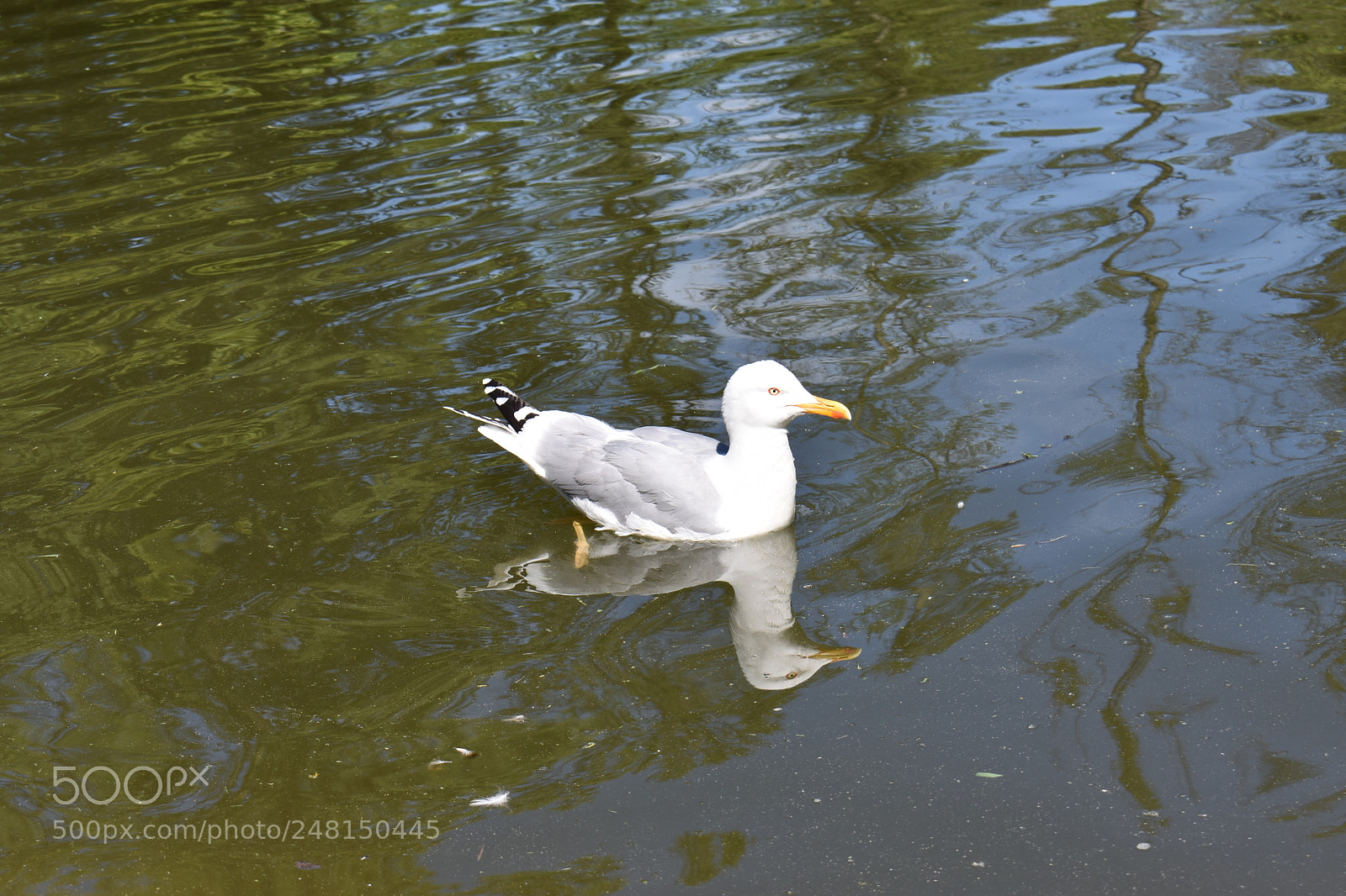 Nikon D3400 sample photo. Untitled photography