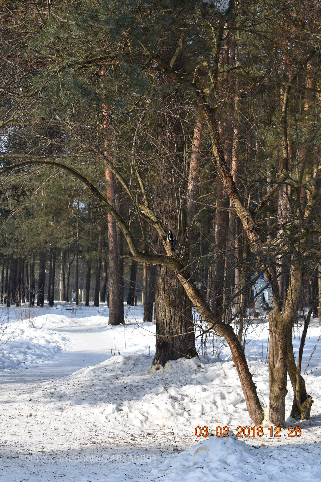 Nikon D3400 sample photo. Untitled photography