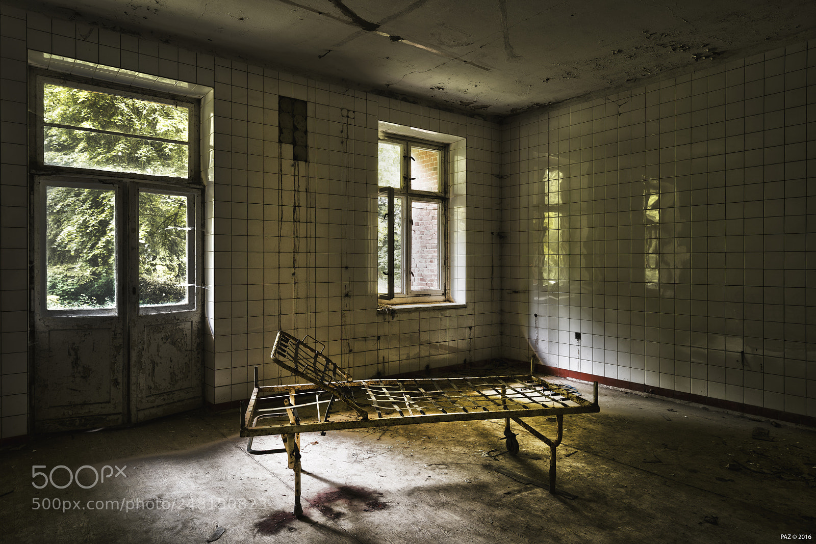 Sony a7R sample photo. Agonized photography