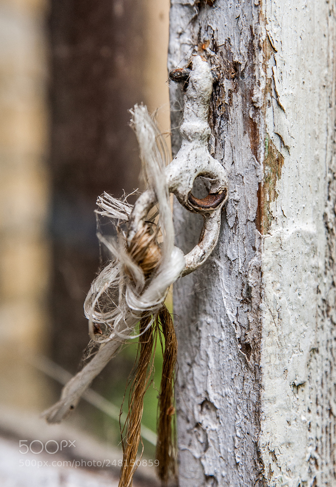 Nikon D700 sample photo. Window's hasp photography