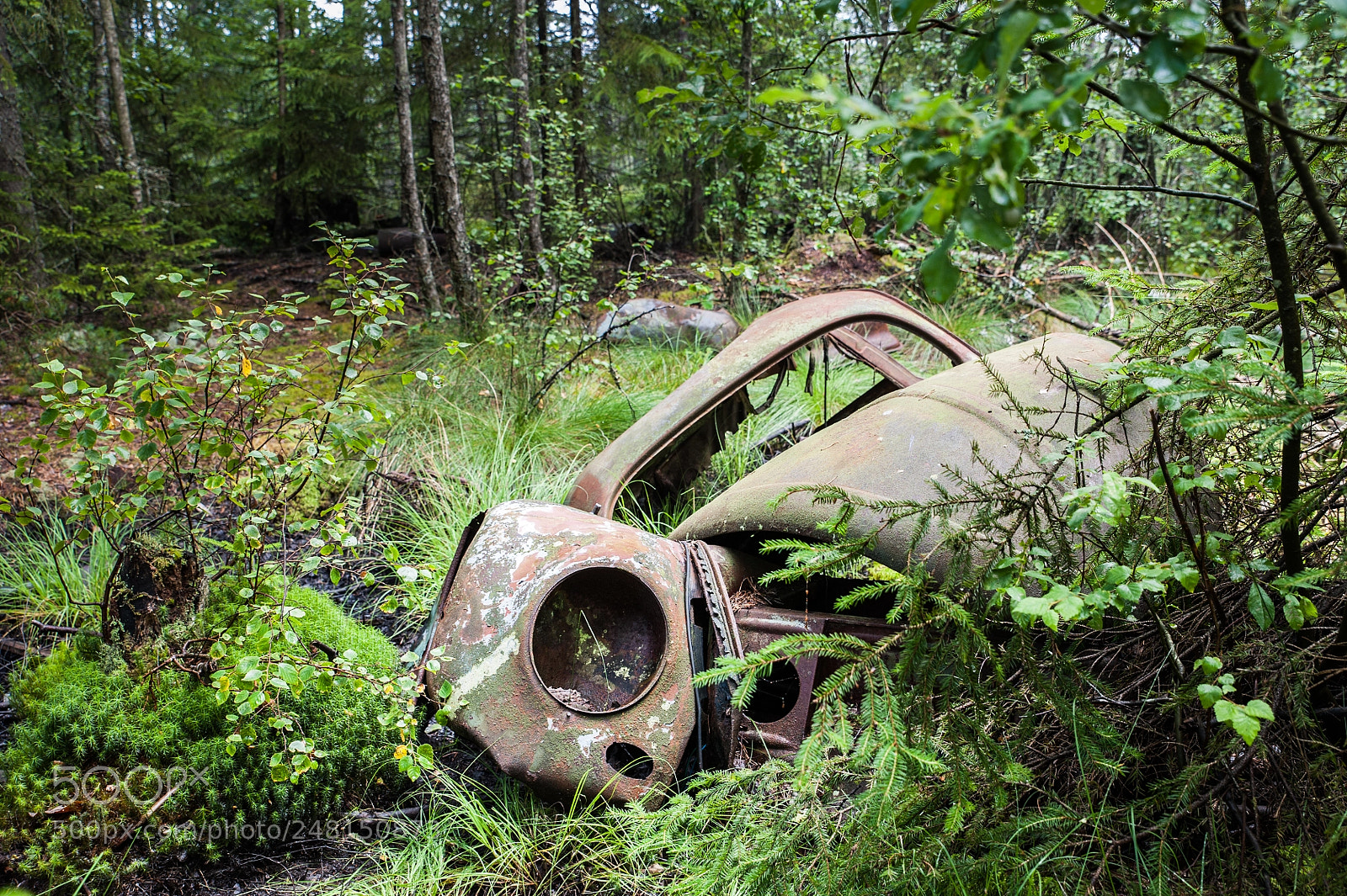 Nikon D700 sample photo. Ryd, sweden photography