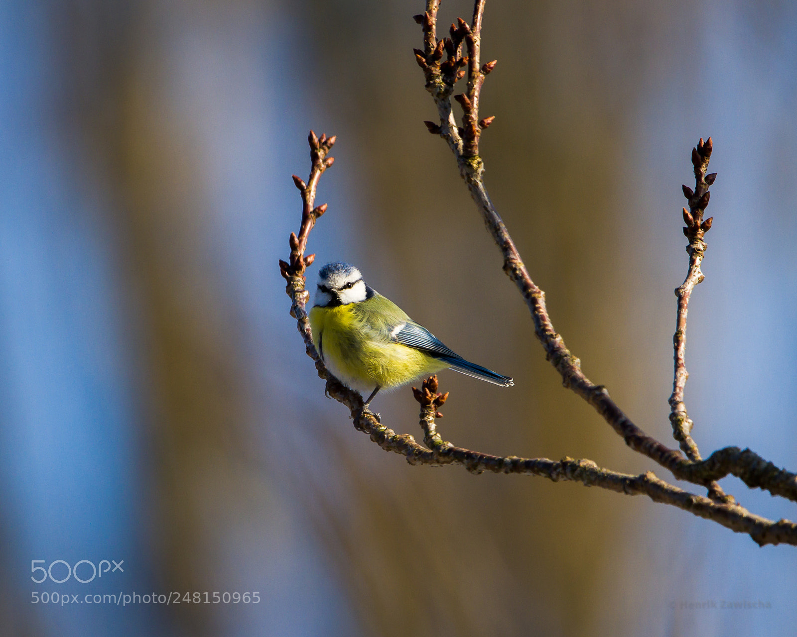 Canon EOS 7D sample photo. Spring getting closer photography