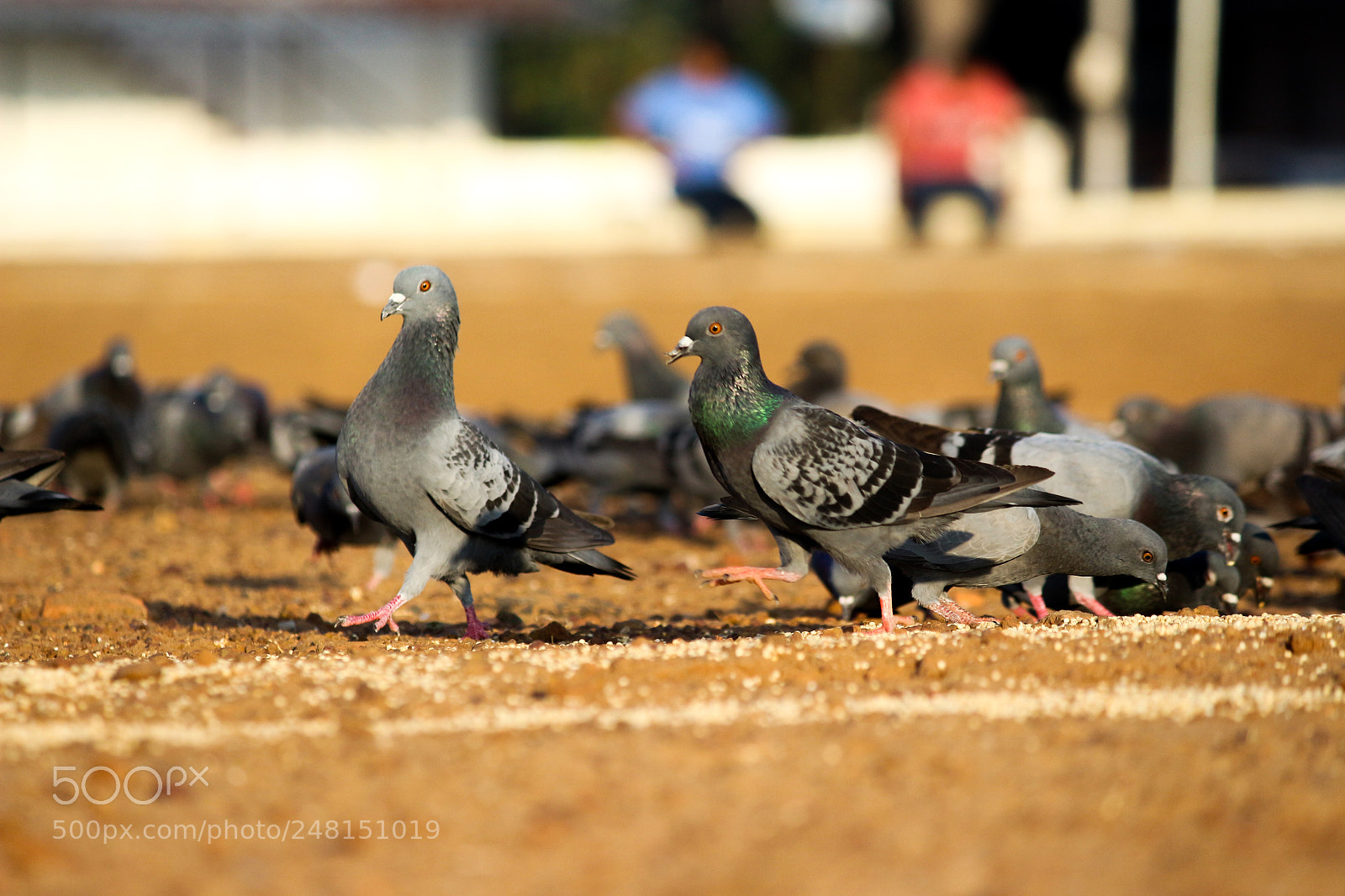 Canon EOS 700D (EOS Rebel T5i / EOS Kiss X7i) sample photo. Ramp walk.......... photography