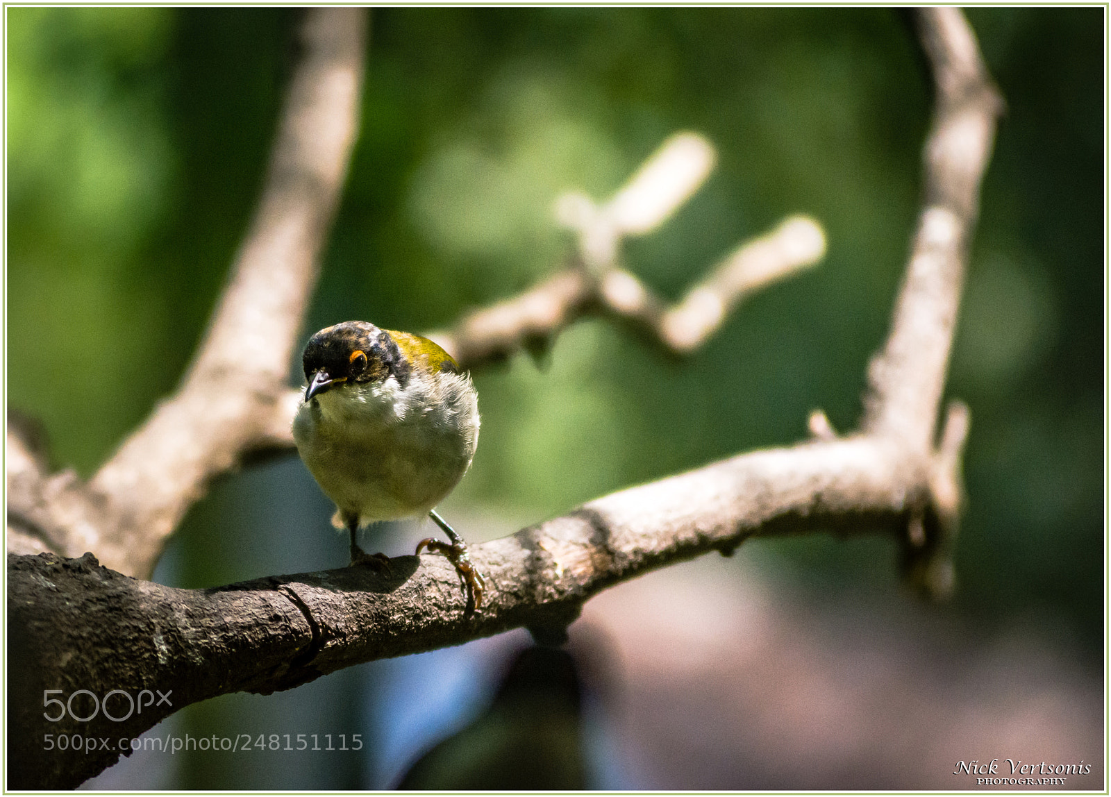 Nikon D7200 sample photo. Tiny... photography