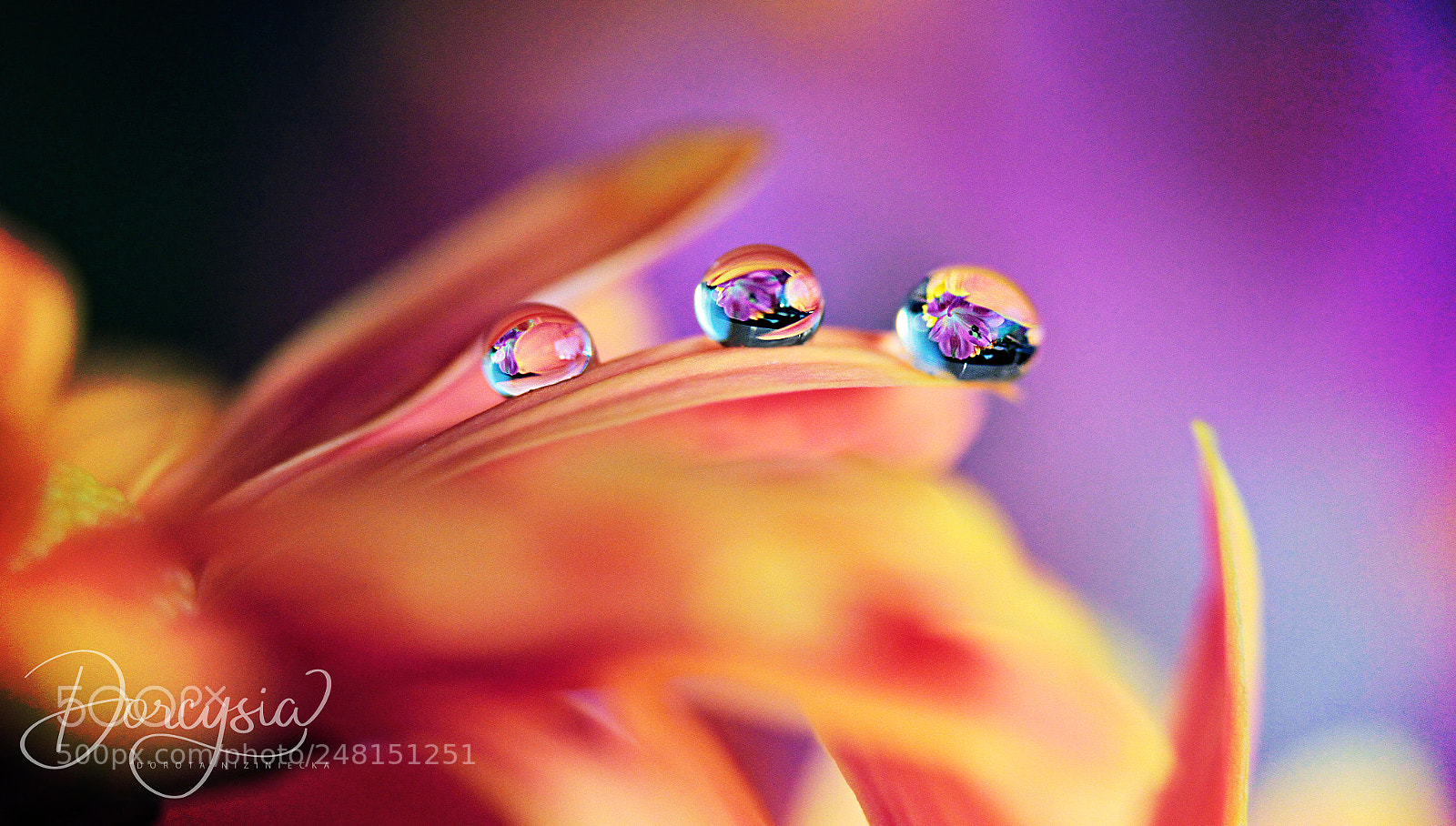 Canon EOS 7D sample photo. Kisses for you photography
