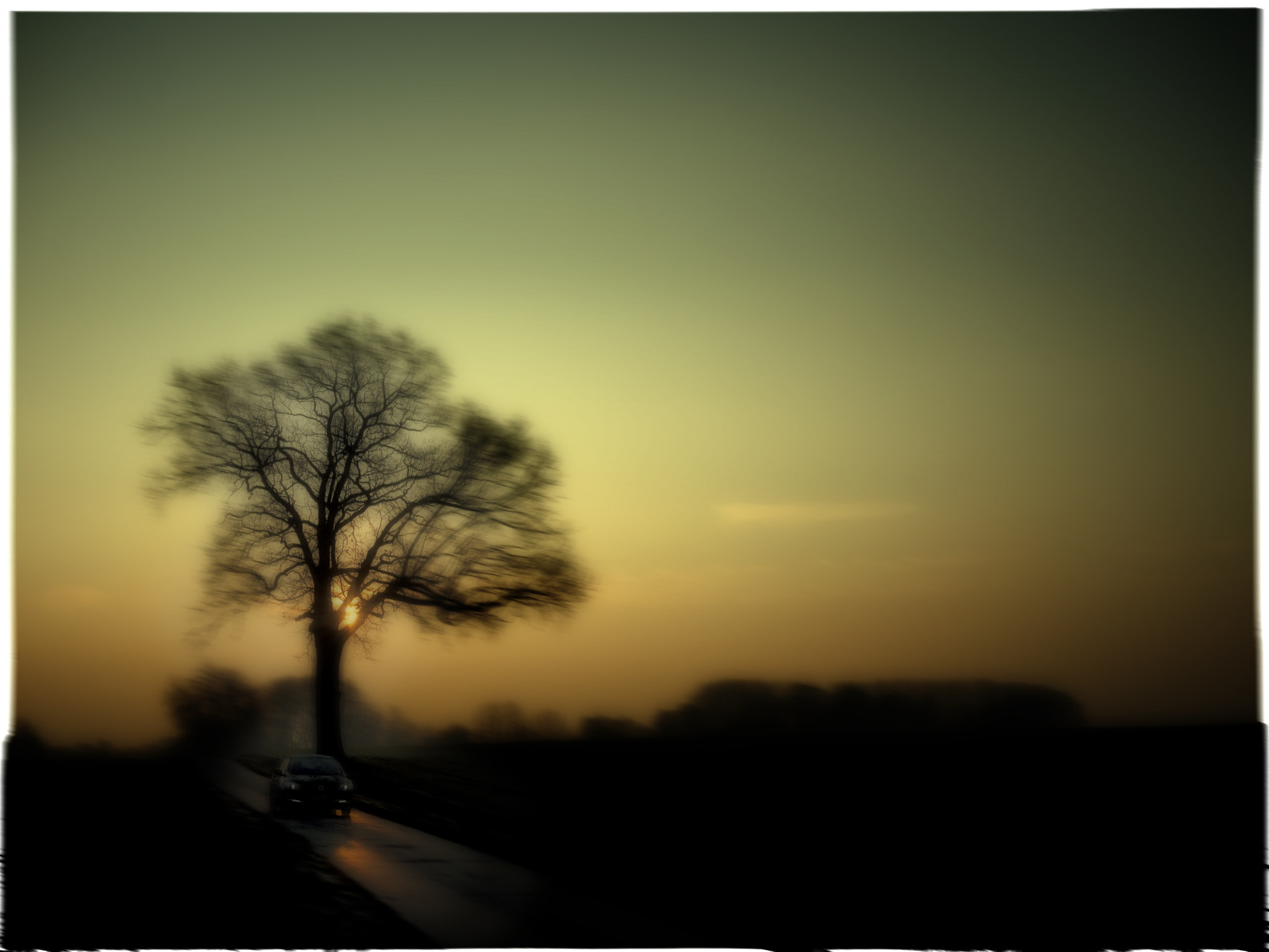 Panasonic Lumix DMC-GF1 sample photo. Polatransfert photography