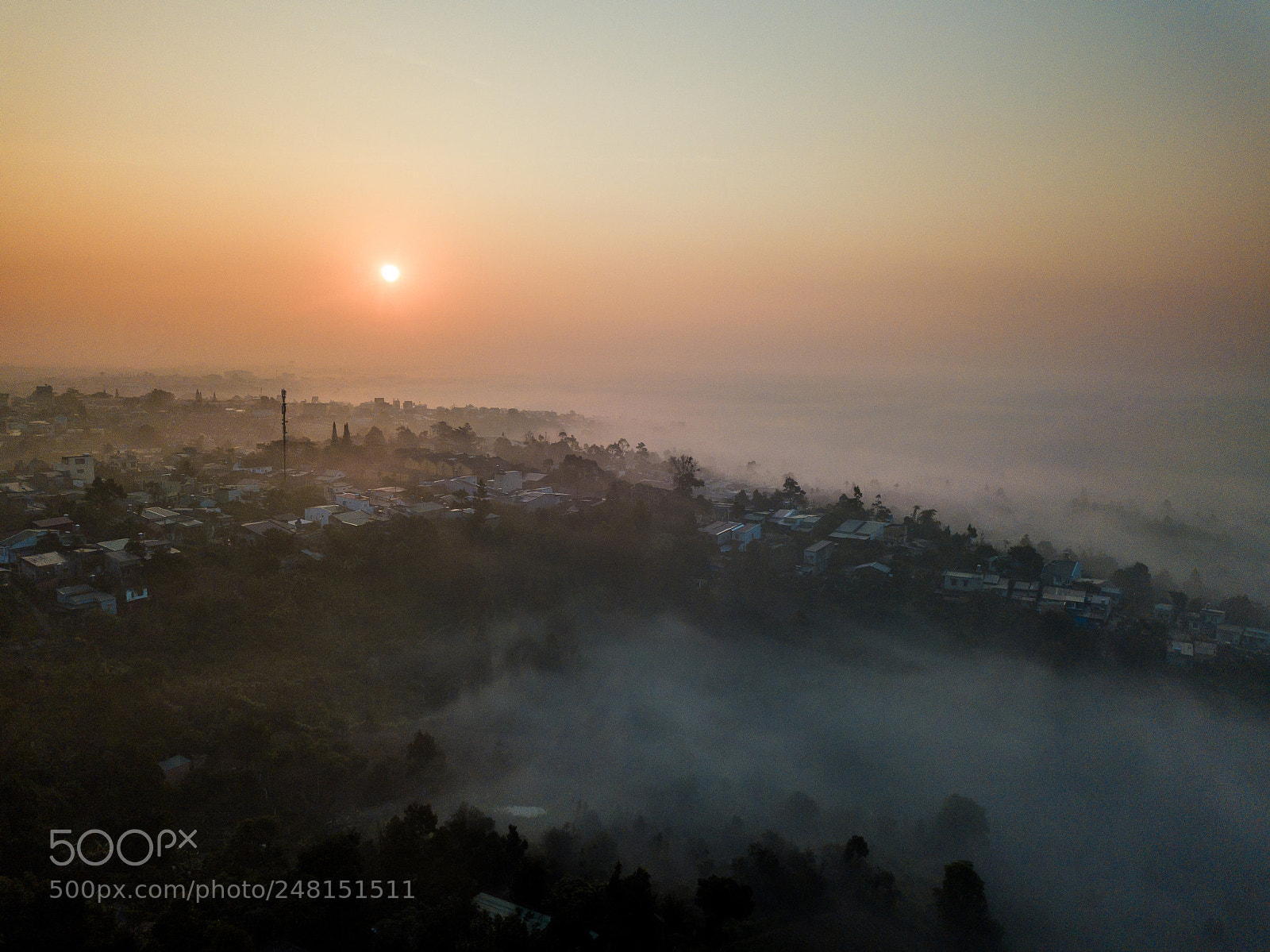 DJI FC220 sample photo. A foggy morning in photography