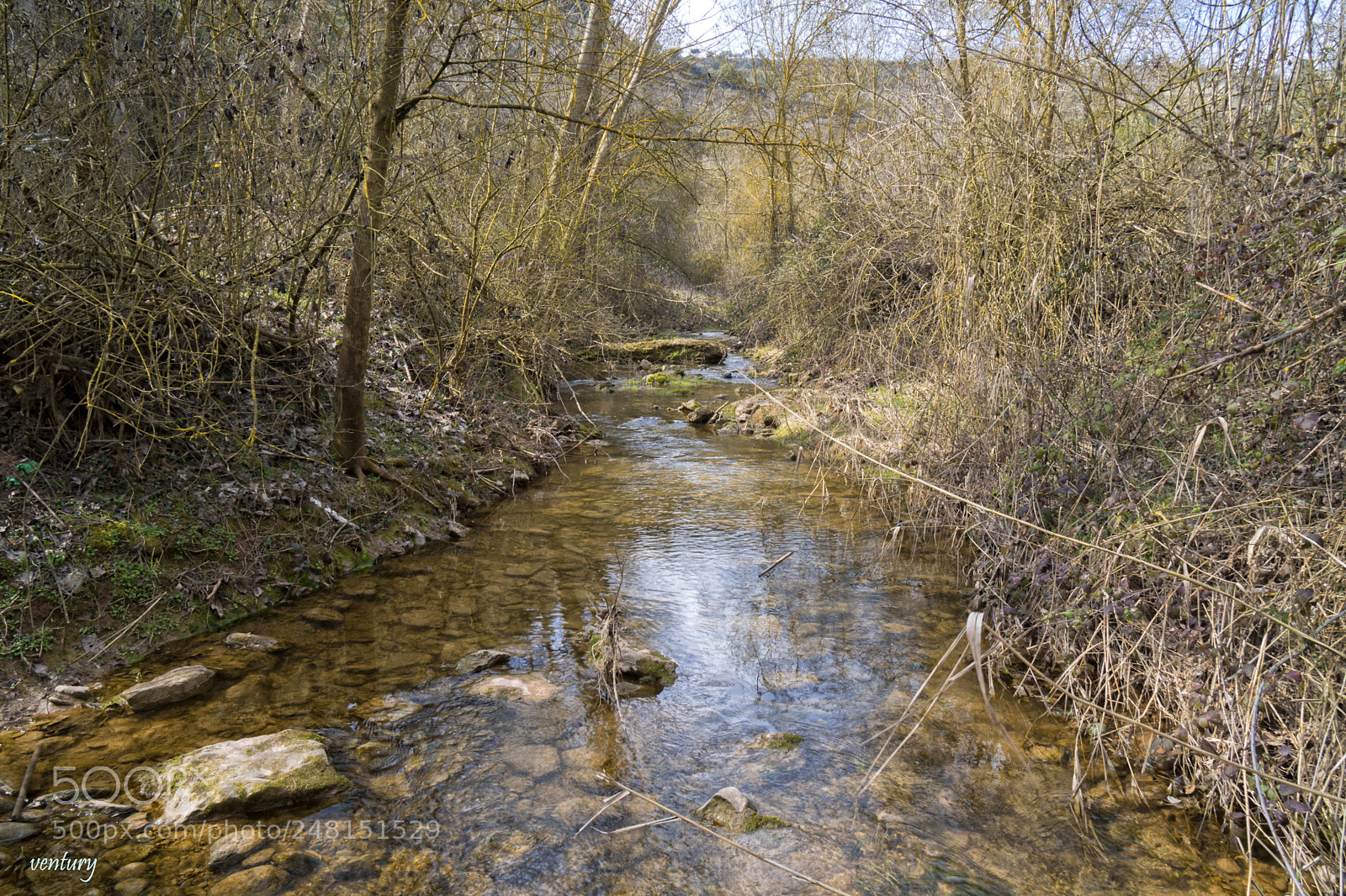 Sony a6500 sample photo. Creek-1 photography