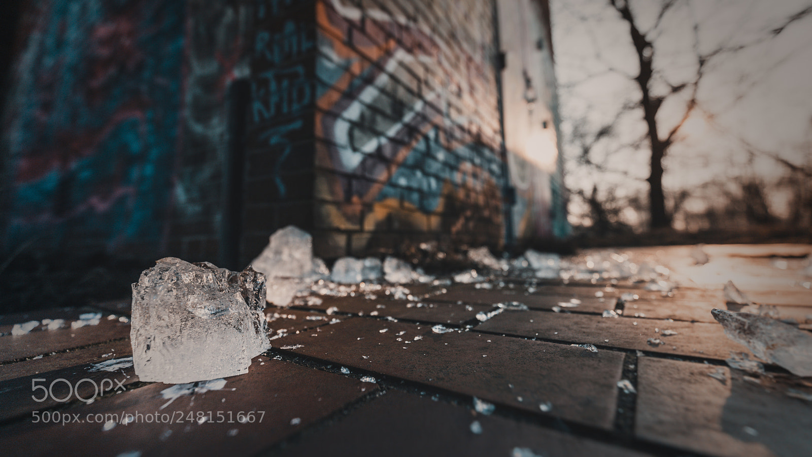Canon EOS 6D Mark II sample photo. Cold photography