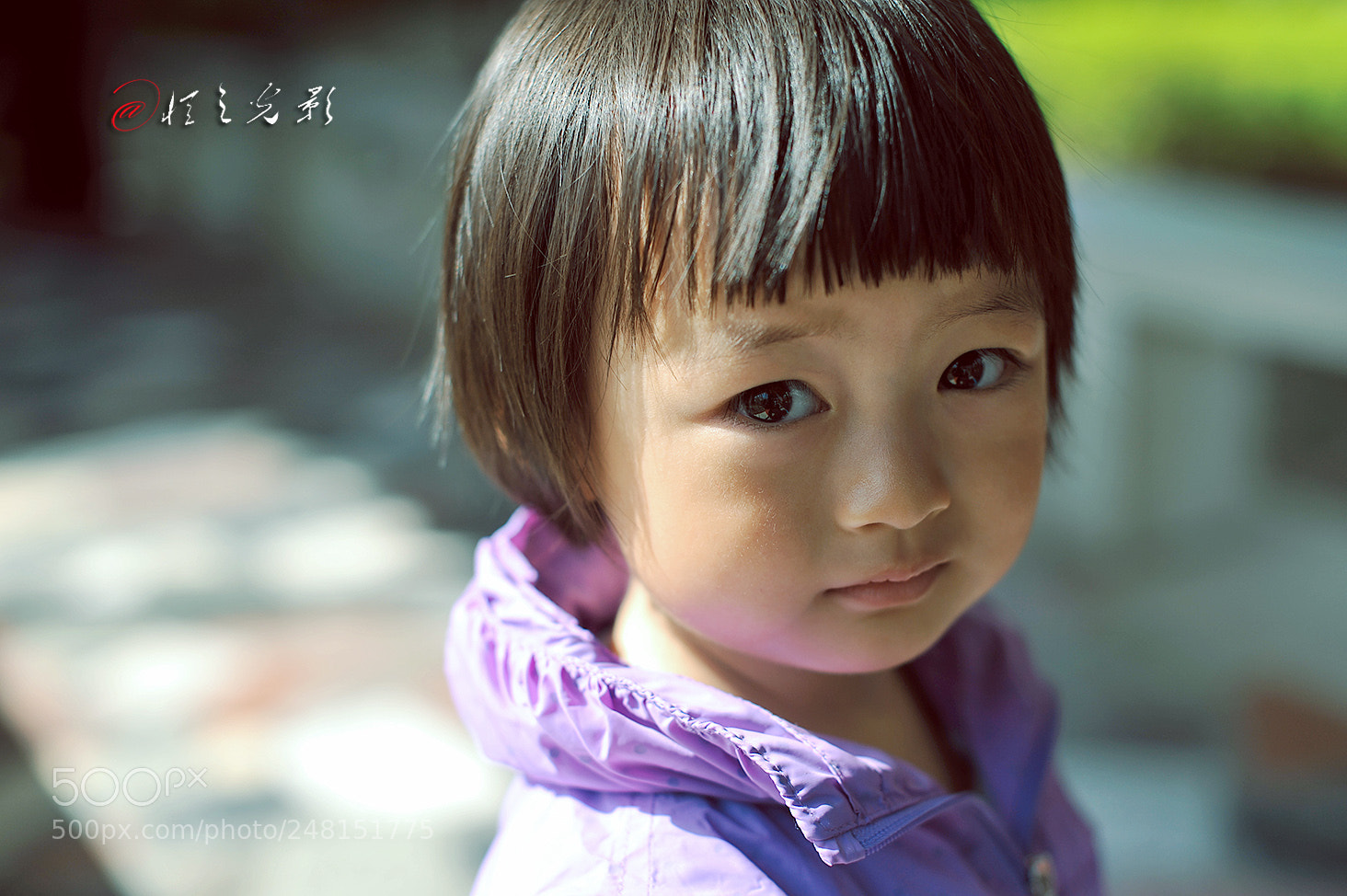 Nikon D700 sample photo. In the eyes of photography