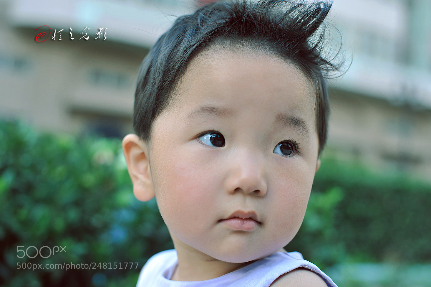 Nikon D700 sample photo. In the eyes of photography