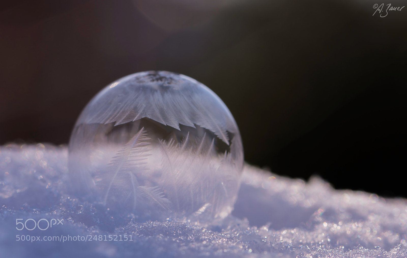 Nikon D7200 sample photo. I love bubbles photography