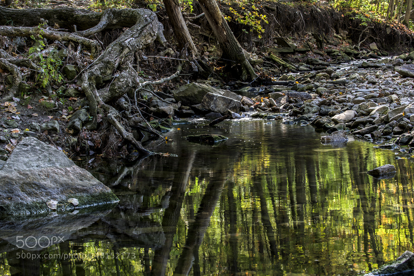 Nikon D810 sample photo. Bruce trail, ontario photography