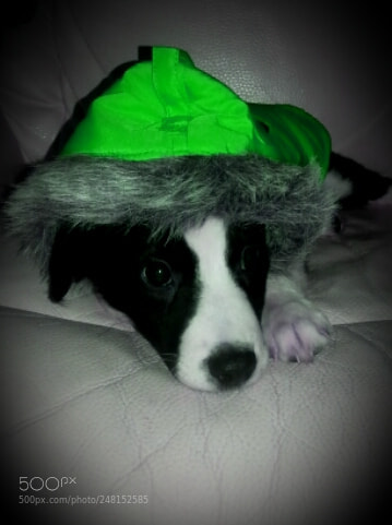 Samsung Galaxy S3 sample photo. Untitled photography